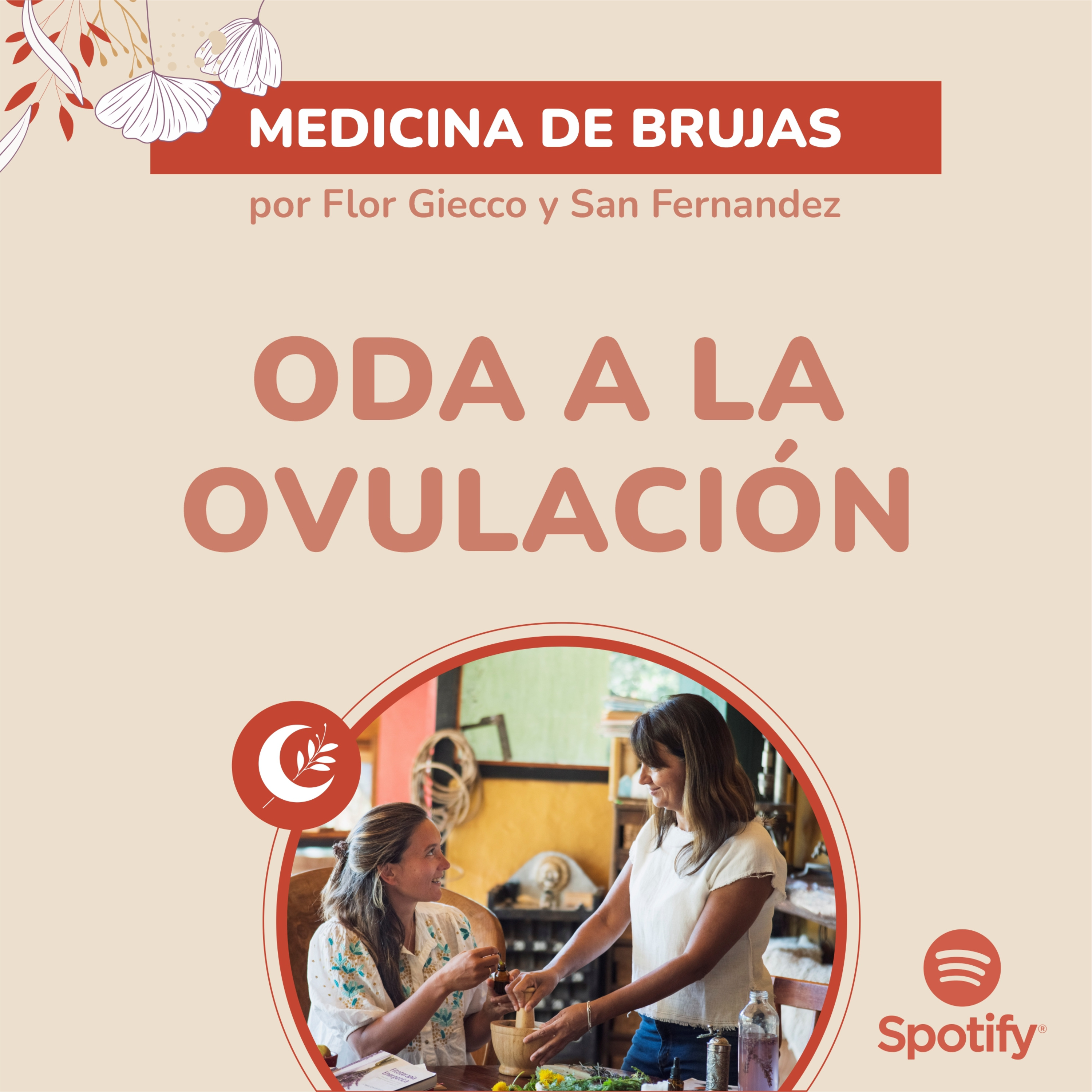 Portada de Medicina de Brujas