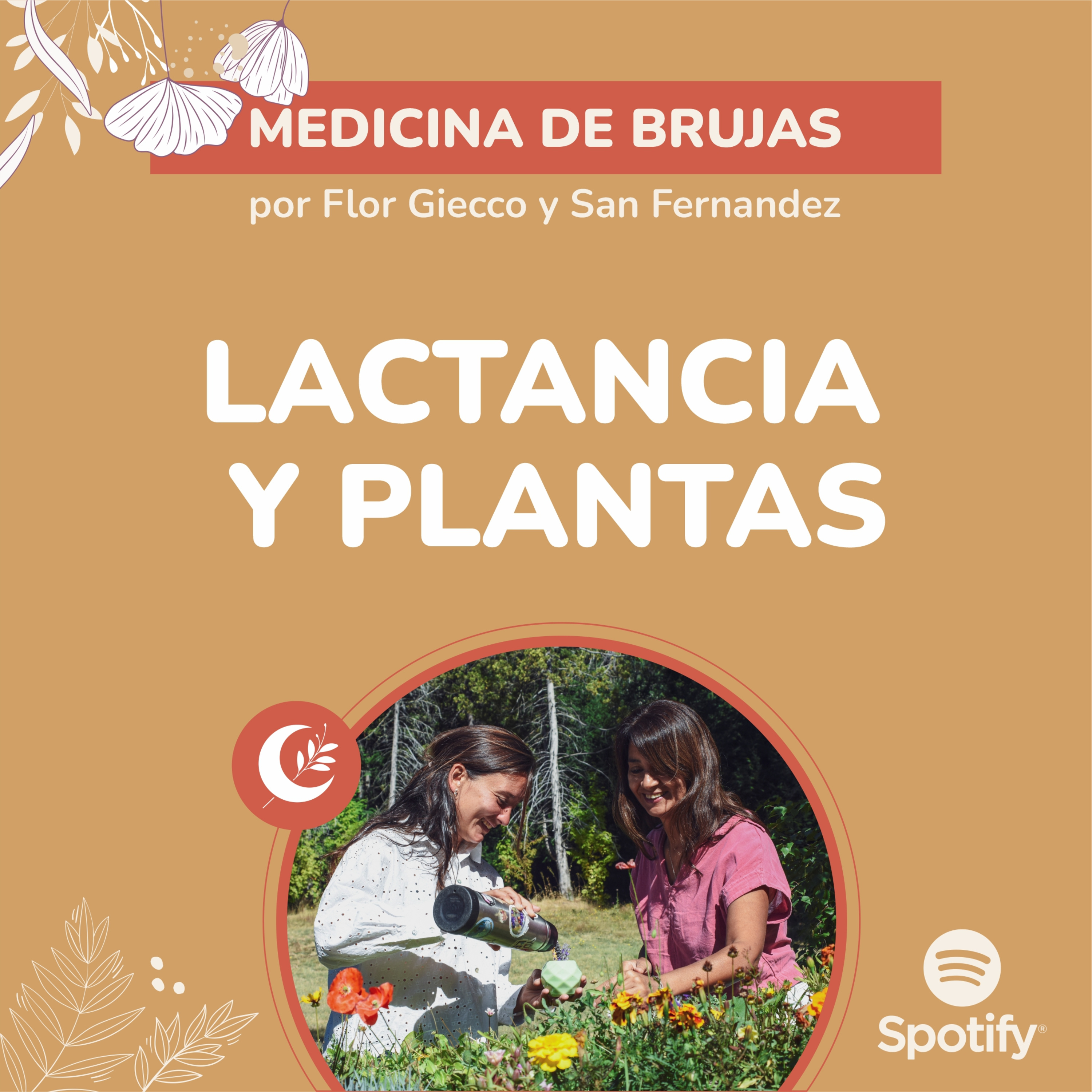Portada de Medicina de Brujas