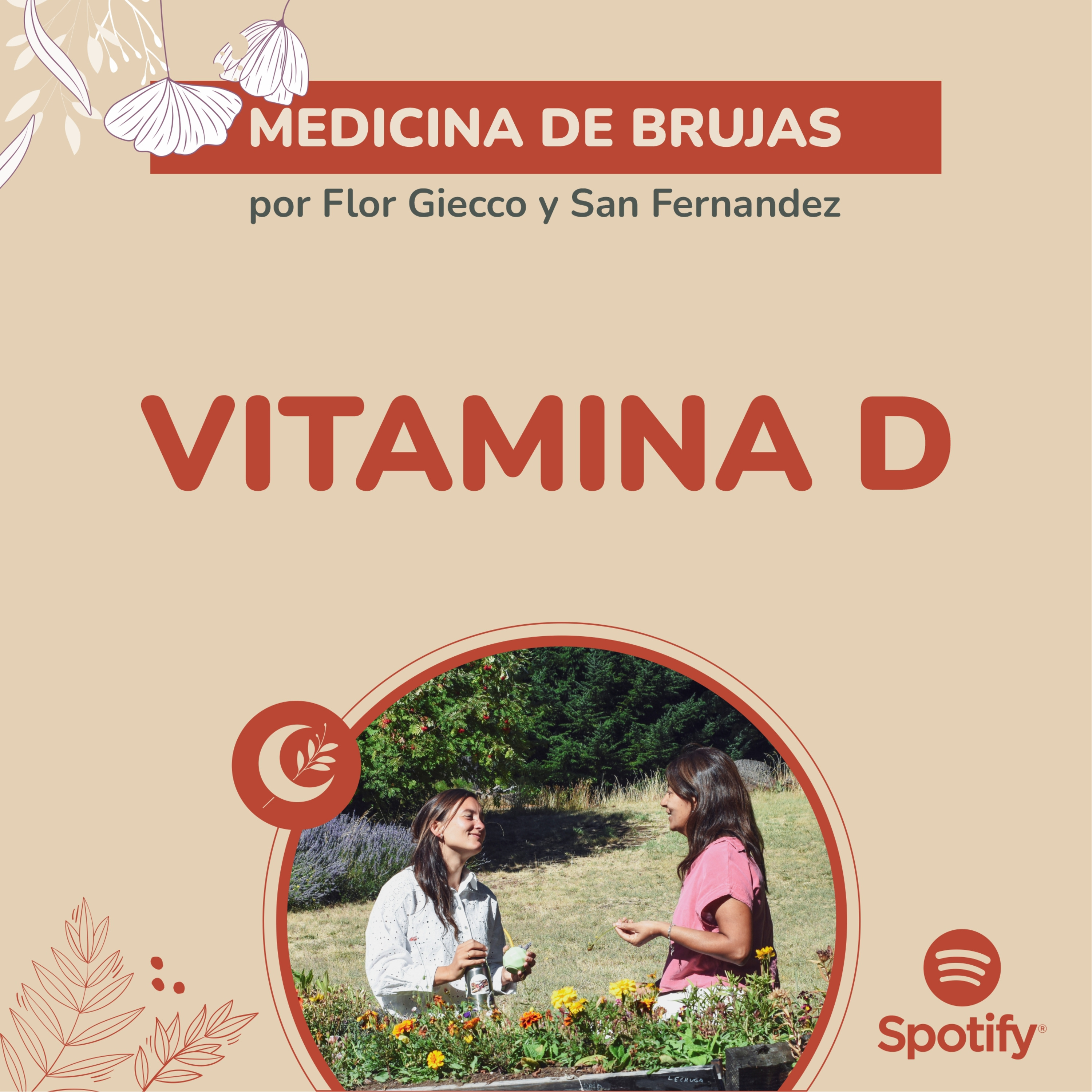 Portada de Medicina de Brujas