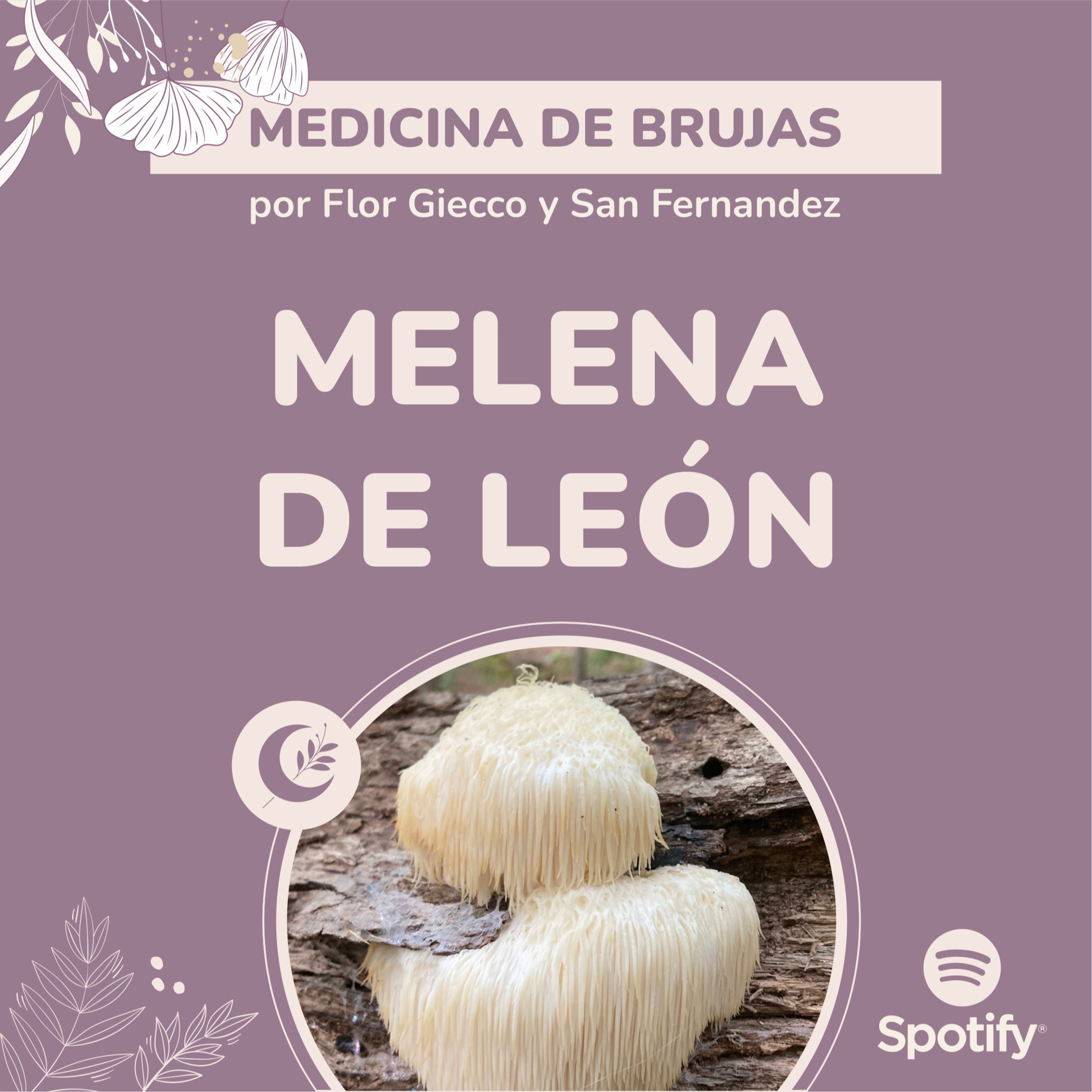 Portada de Medicina de Brujas