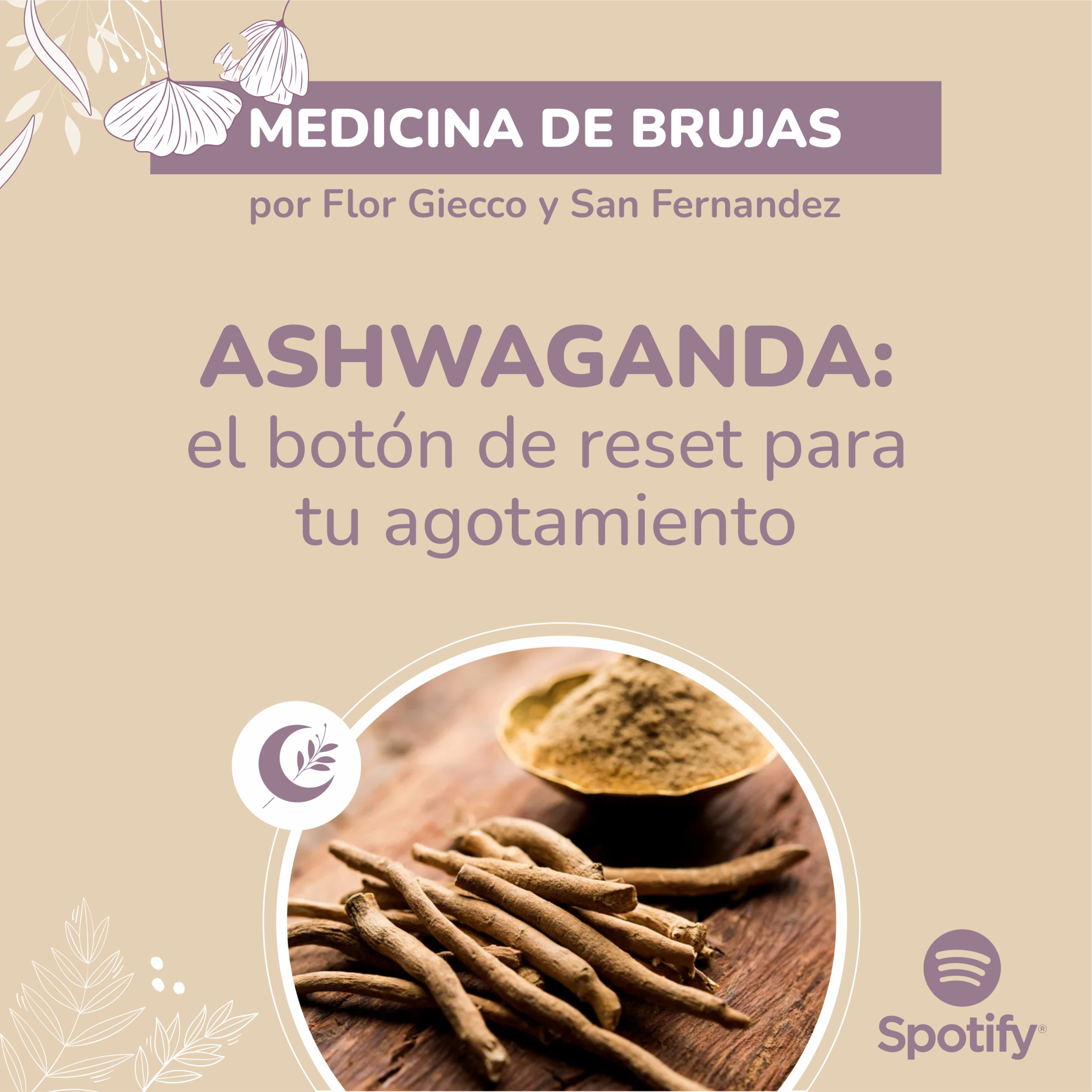 Portada de Medicina de Brujas