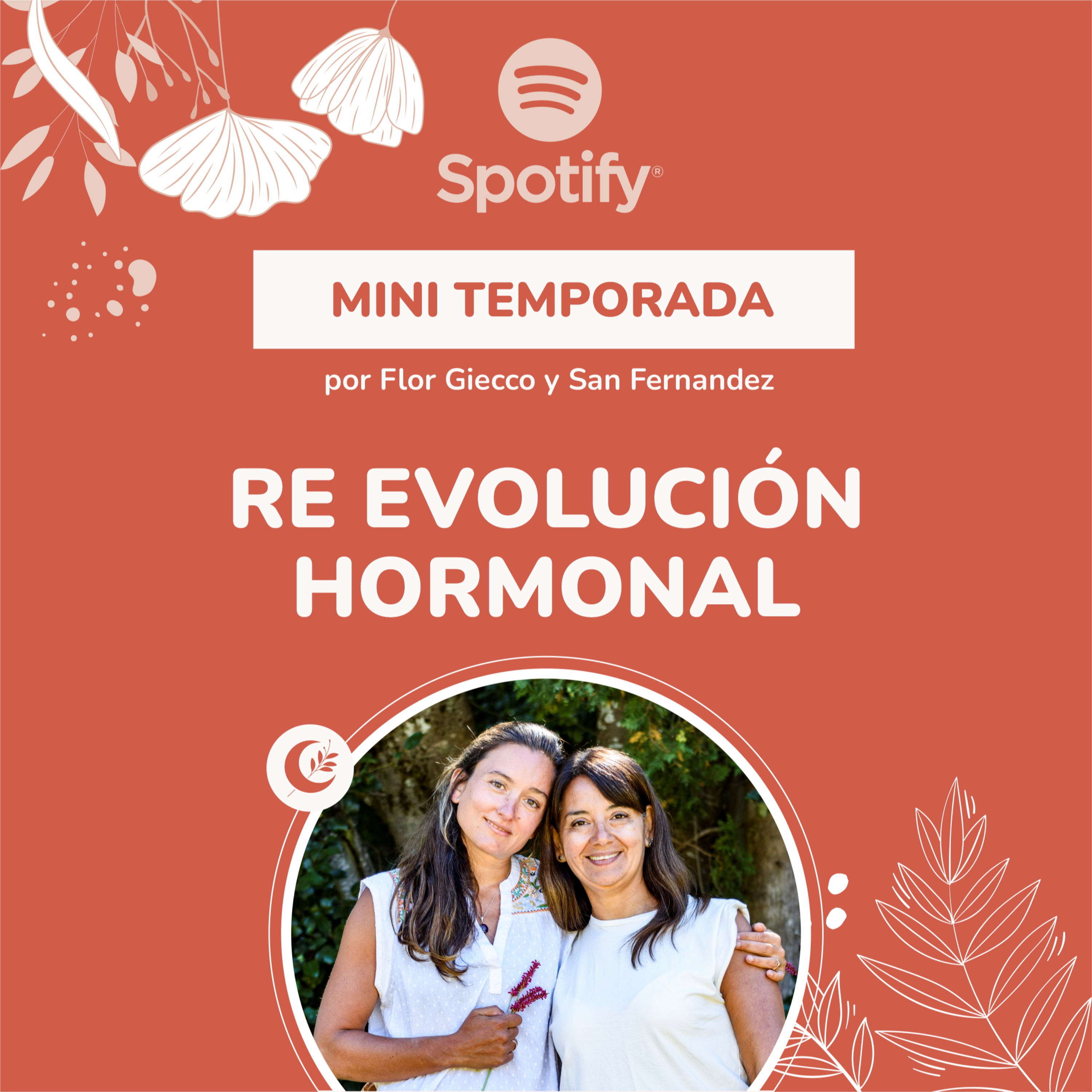 Portada de Medicina de Brujas