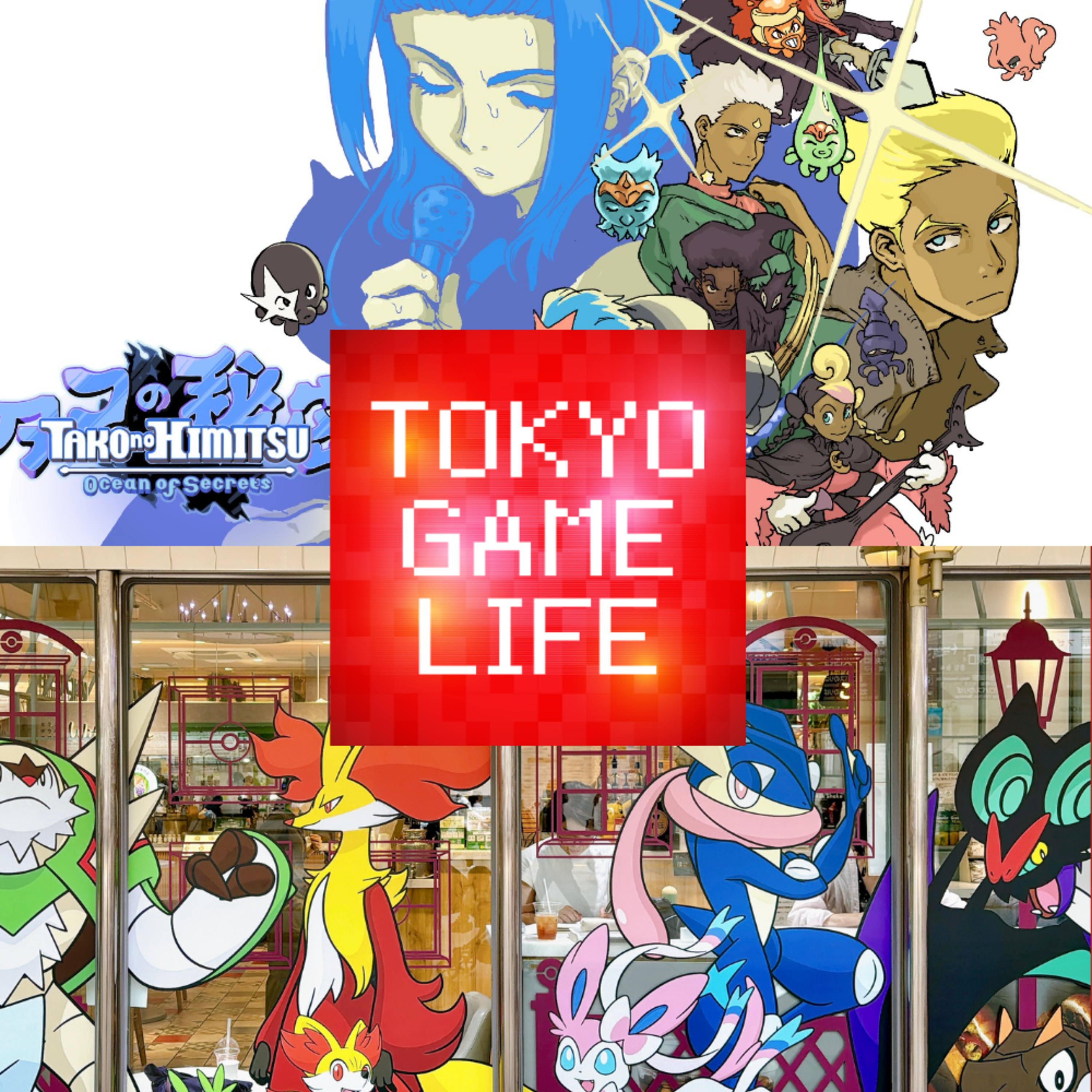 Tako no Himitsu with Christophe Galati, Pokemon Fit Shop XY episode artwork