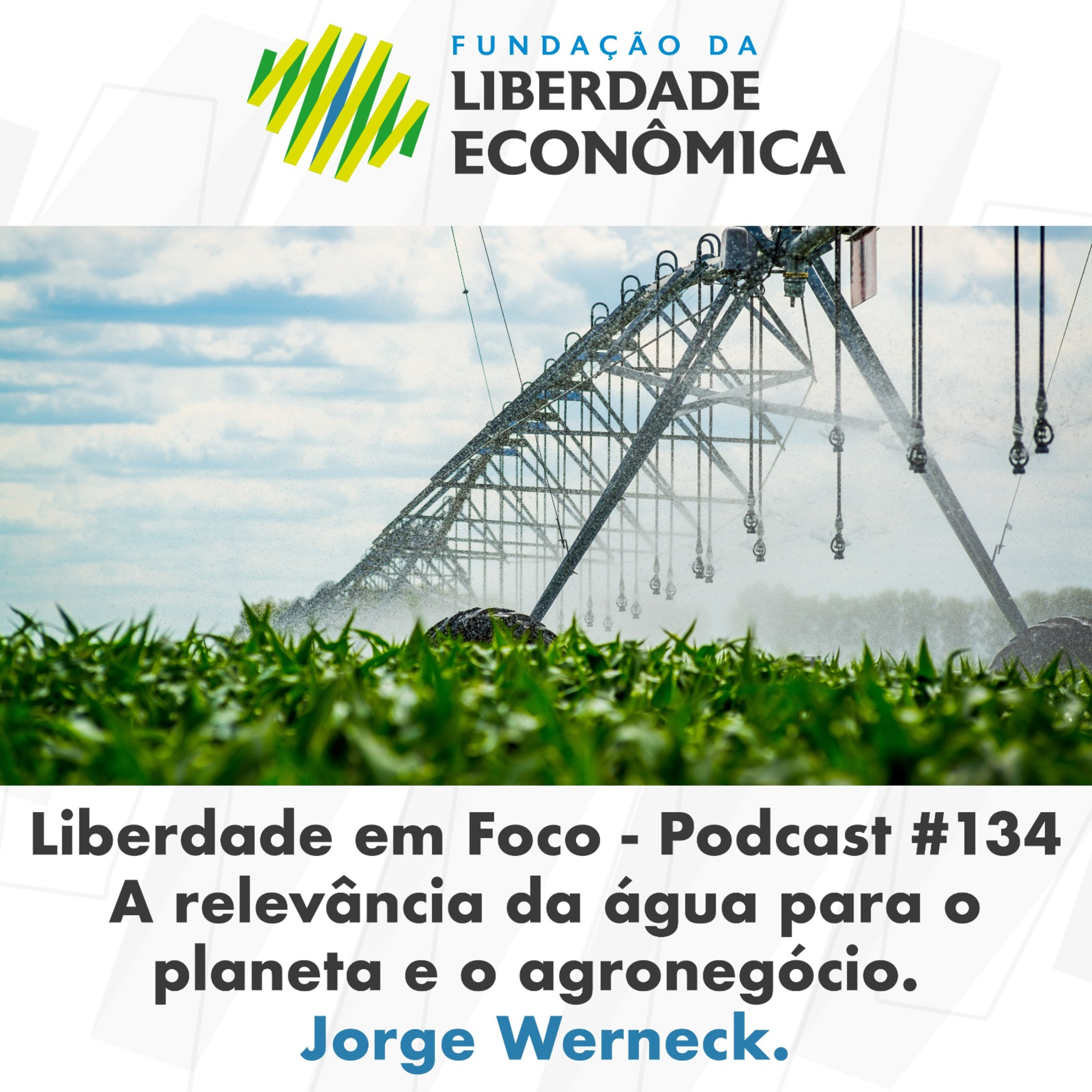 Liberdade em foco