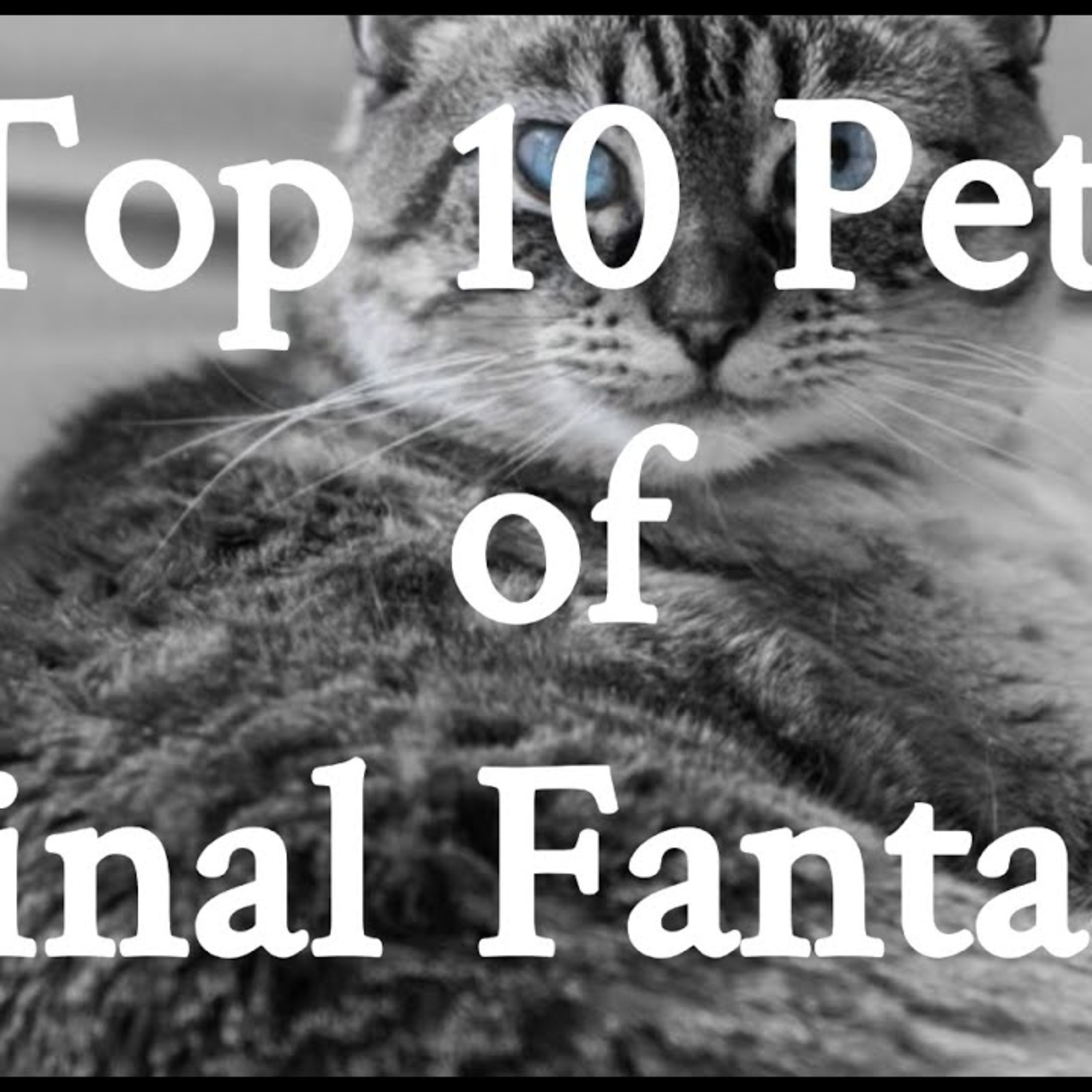 Top 10 Final Fantasy Pets episode artwork