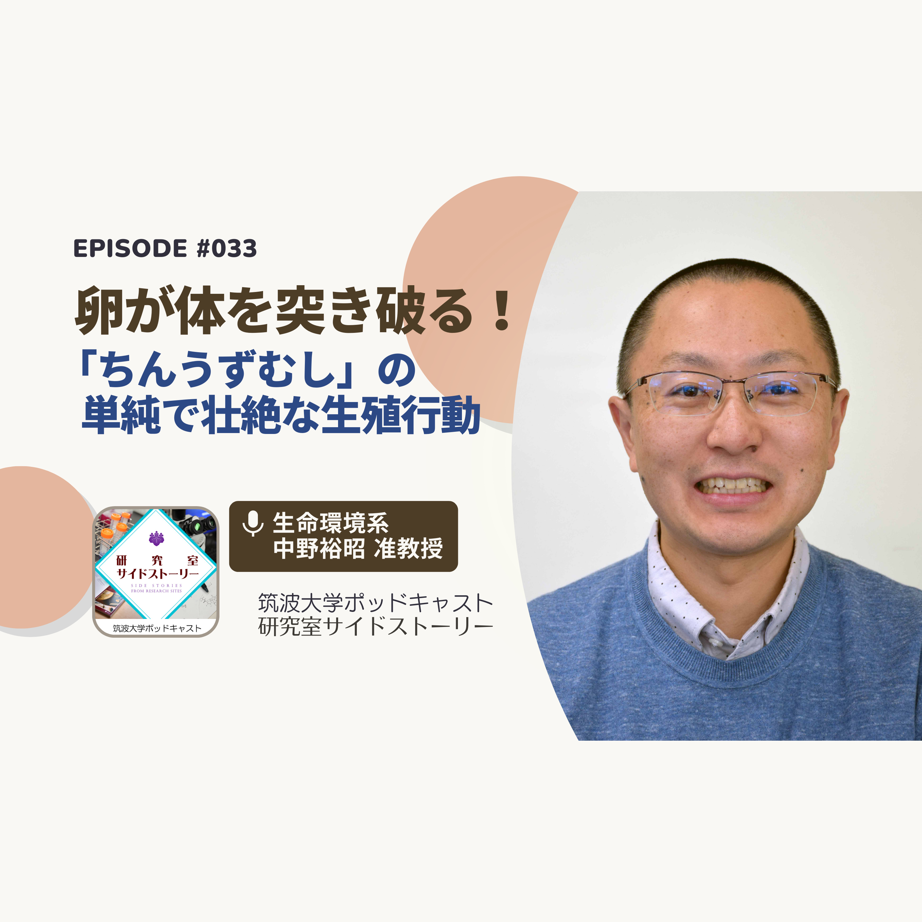 #033 卵が体を突き破る!「ちんうずむし」の単純で壮絶な生殖行動/生命環境系 中野裕昭 准教授