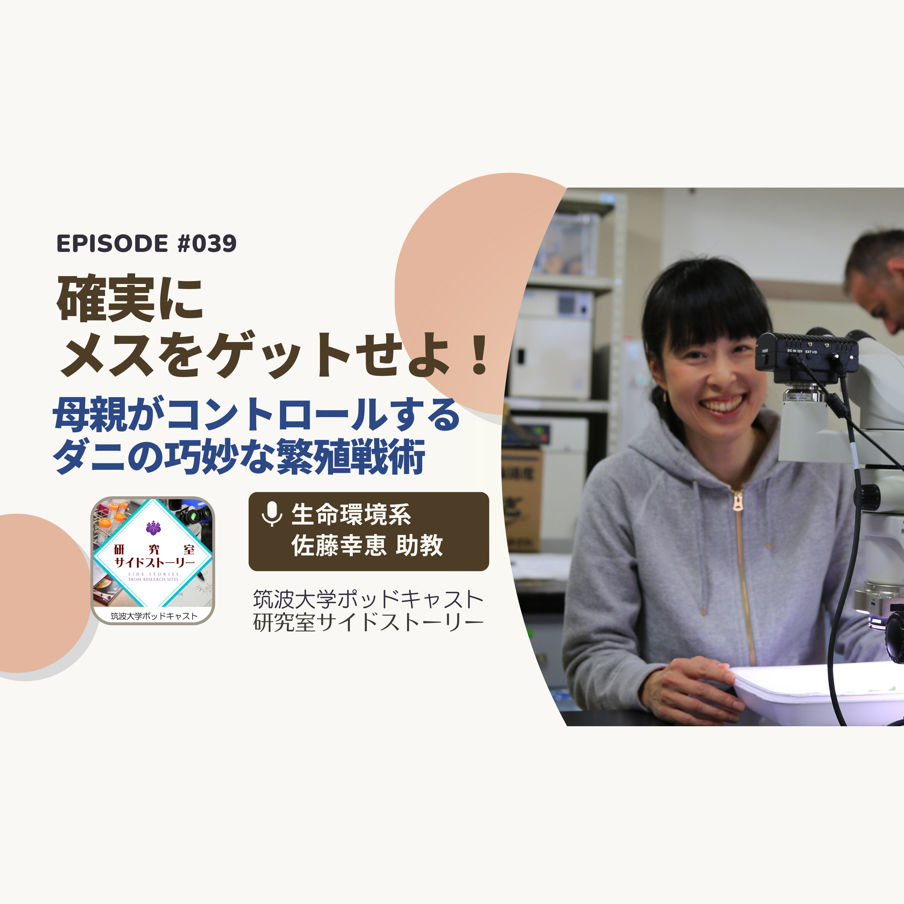 #039 確実にメスをゲットせよ!母親がコントロールするダニの巧妙な繁殖戦術/生命環境系 佐藤幸恵 助教