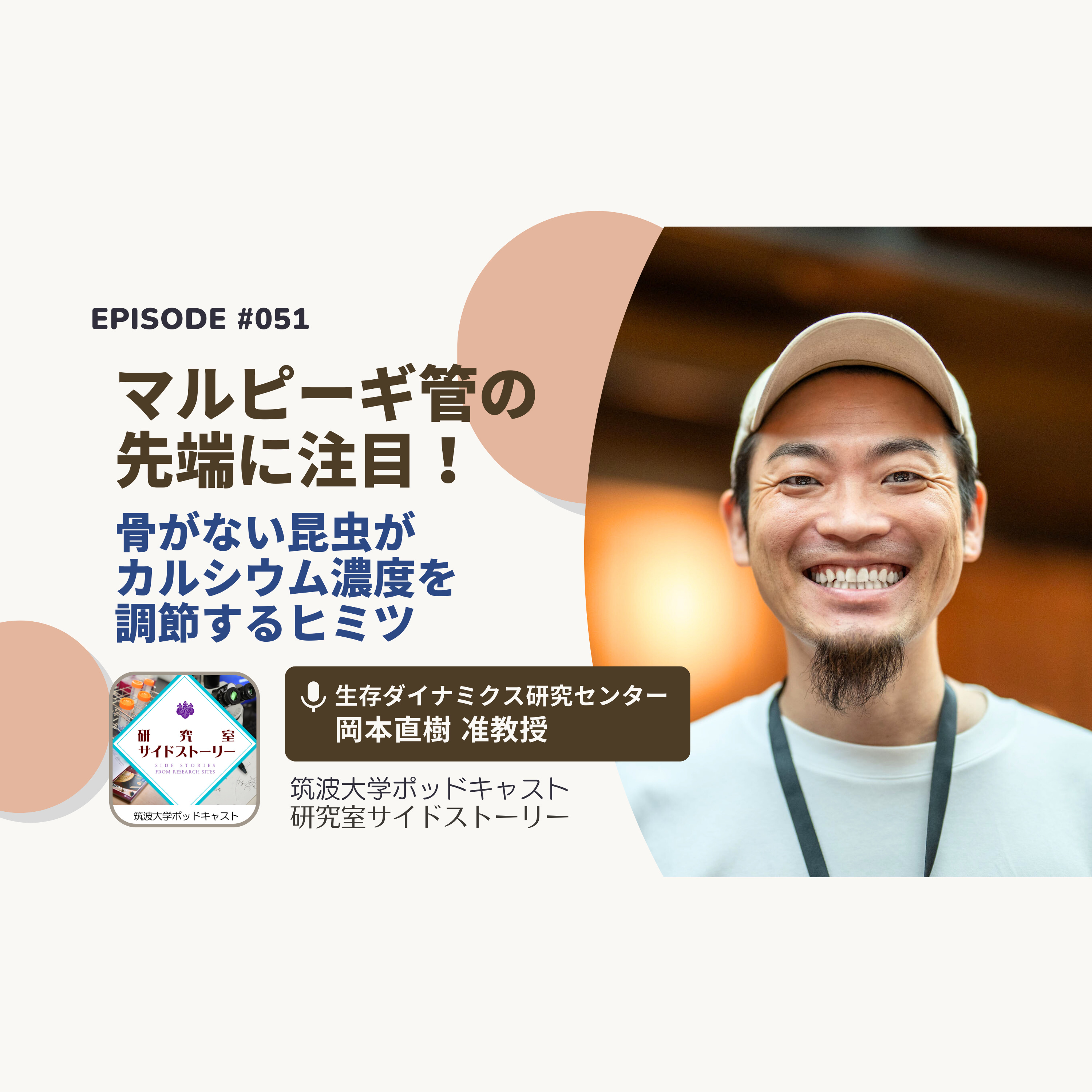 #051 マルピーギ管の先端に注目！骨がない昆虫がカルシウム濃度を調節するヒミツ／生存ダイナミクス研究センター　岡本直樹 准教授