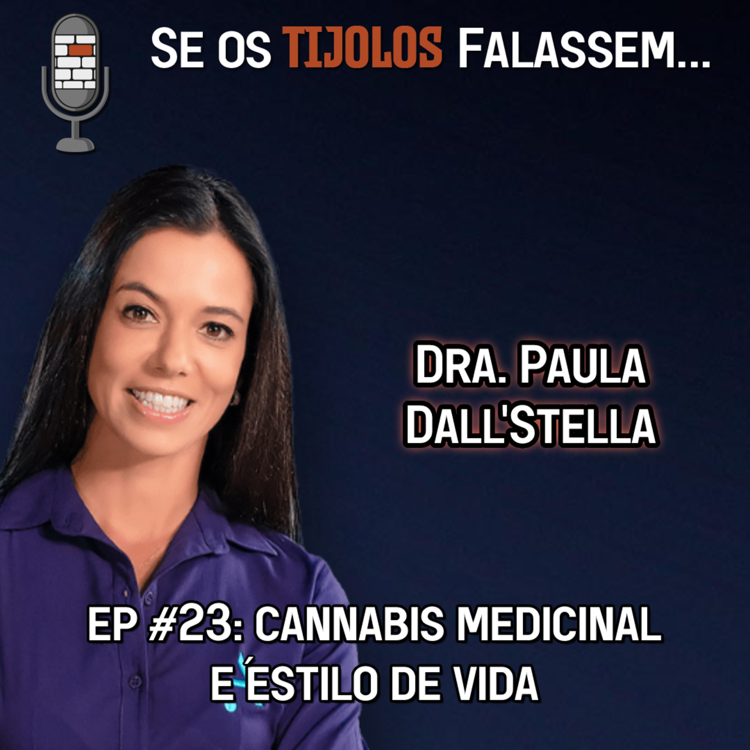 Se os Tijolos Falassem