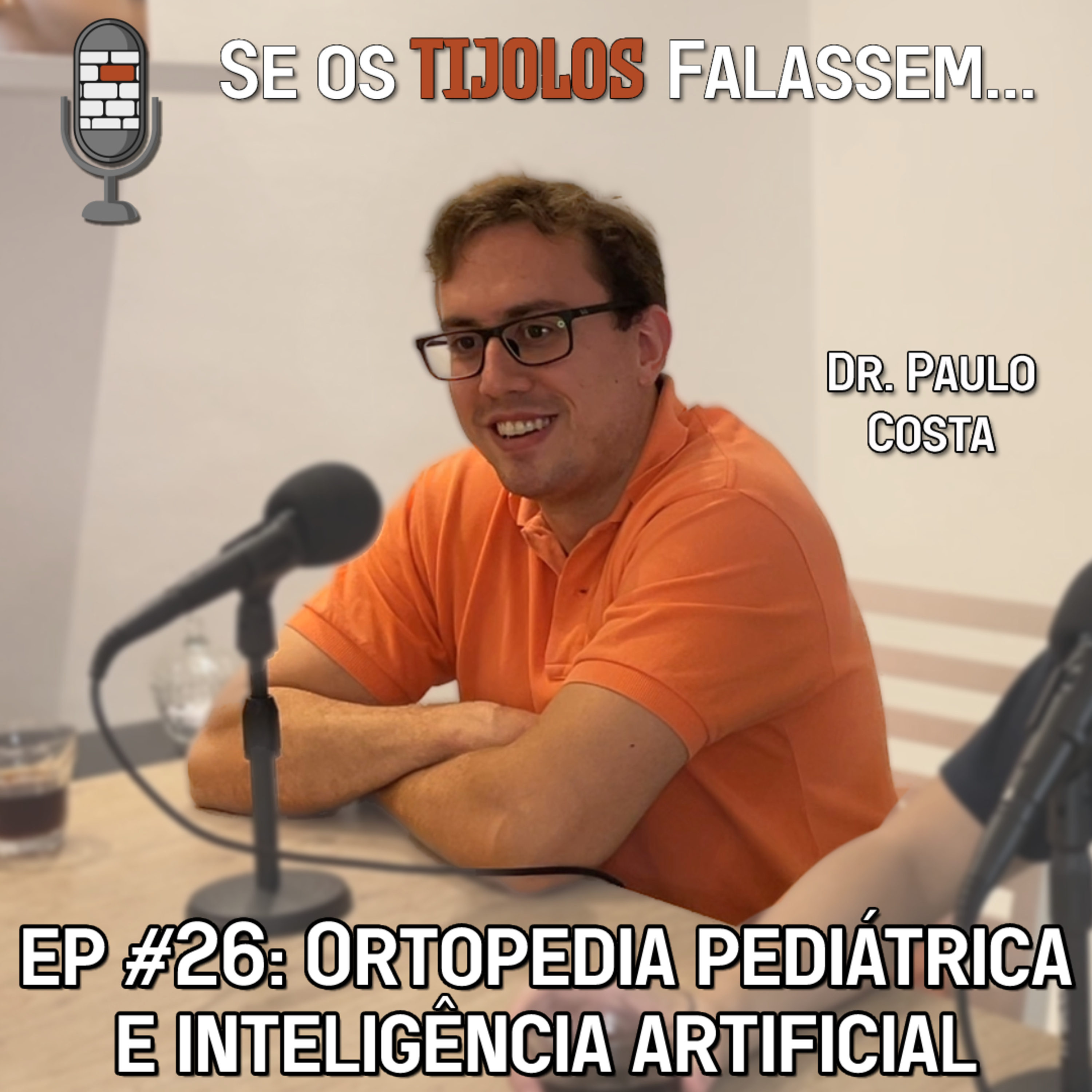 Se os Tijolos Falassem