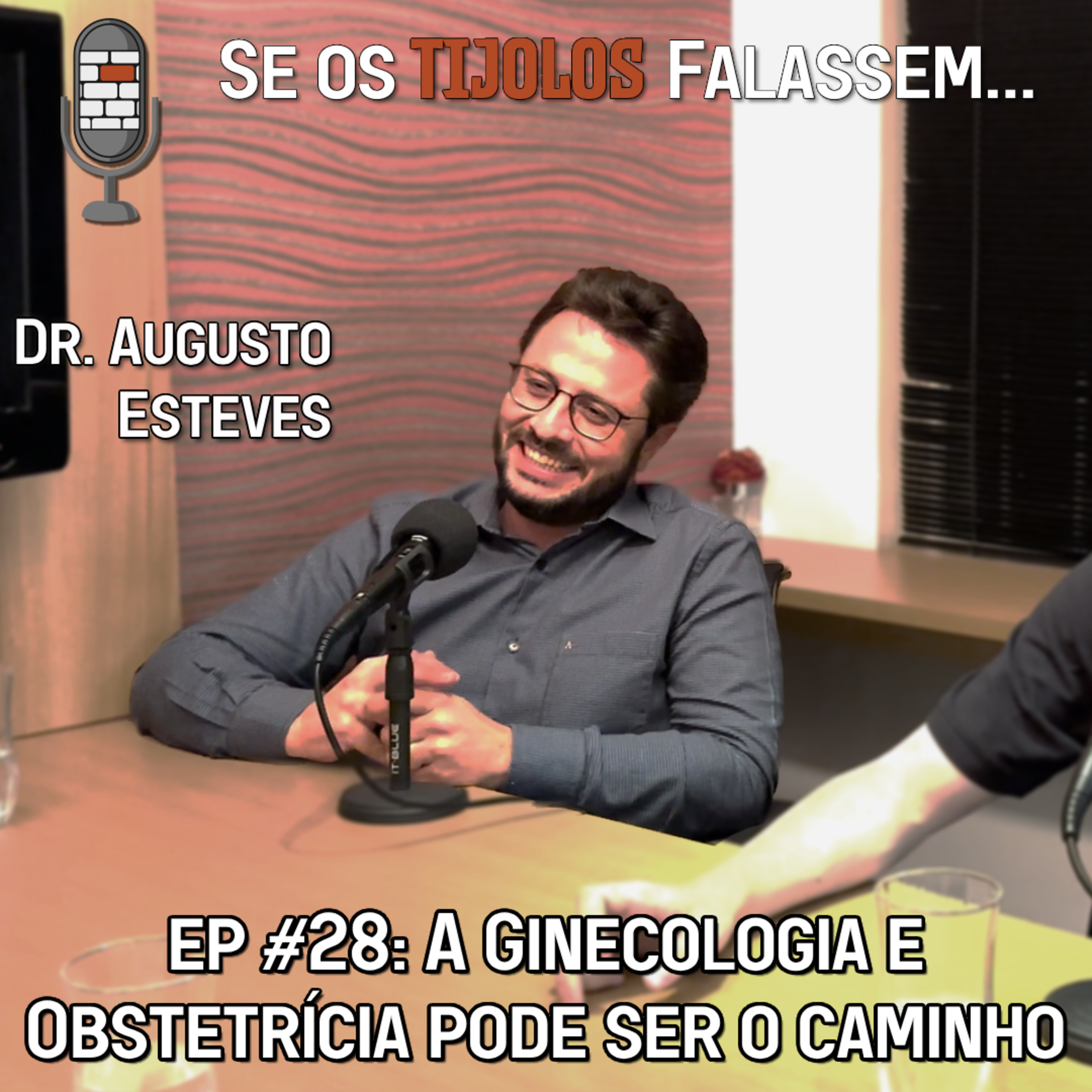 Se os Tijolos Falassem