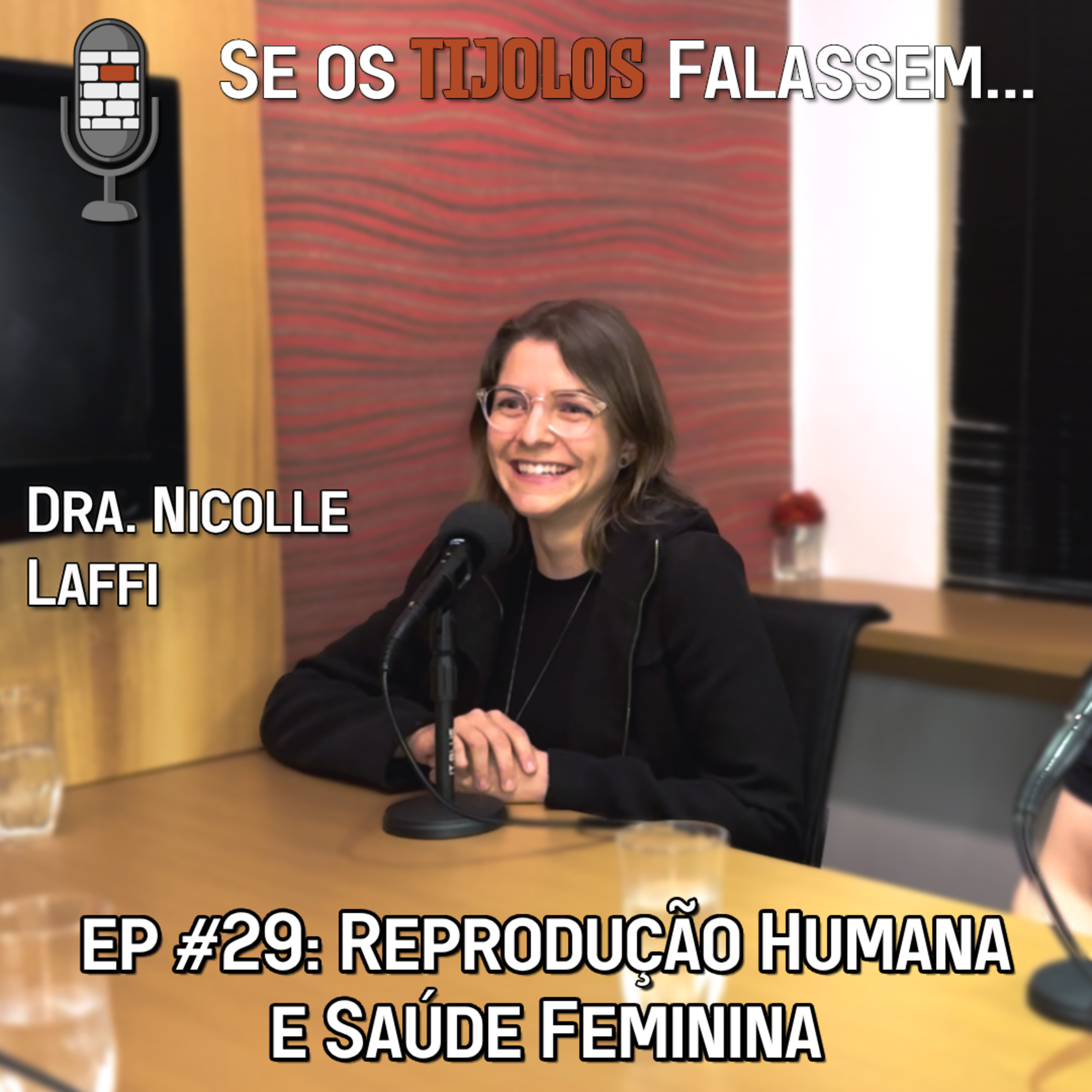 Se os Tijolos Falassem