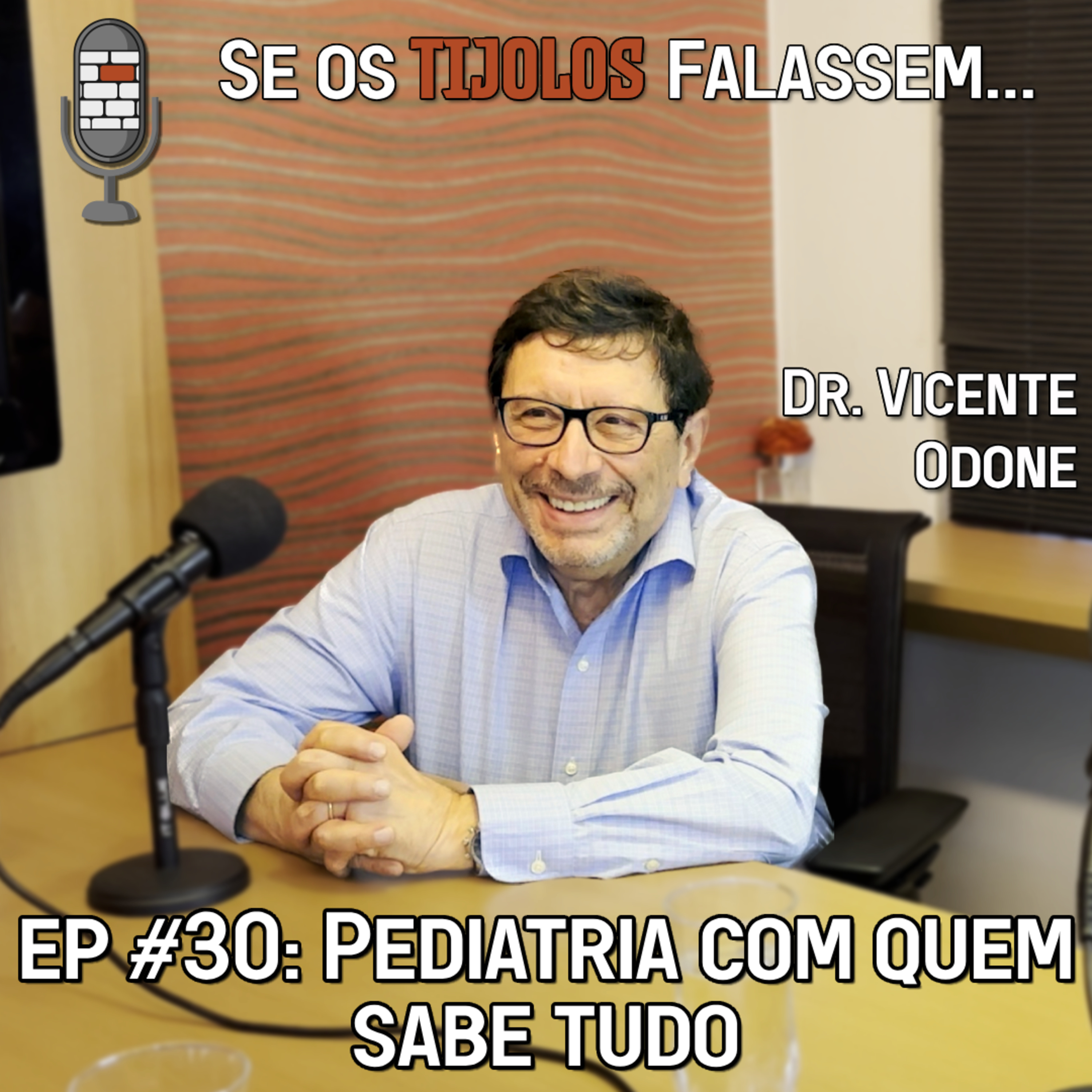 Se os Tijolos Falassem
