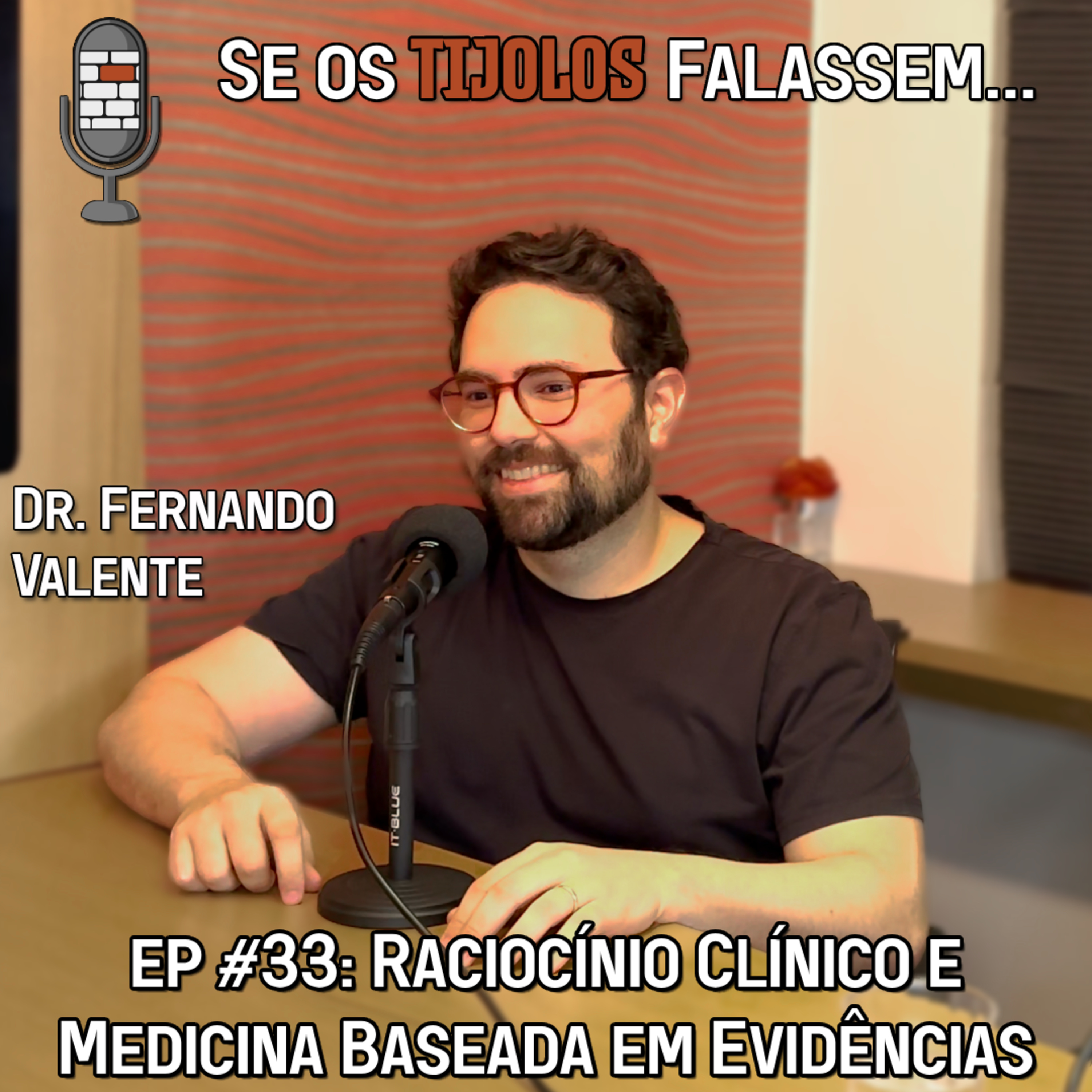 Se os Tijolos Falassem