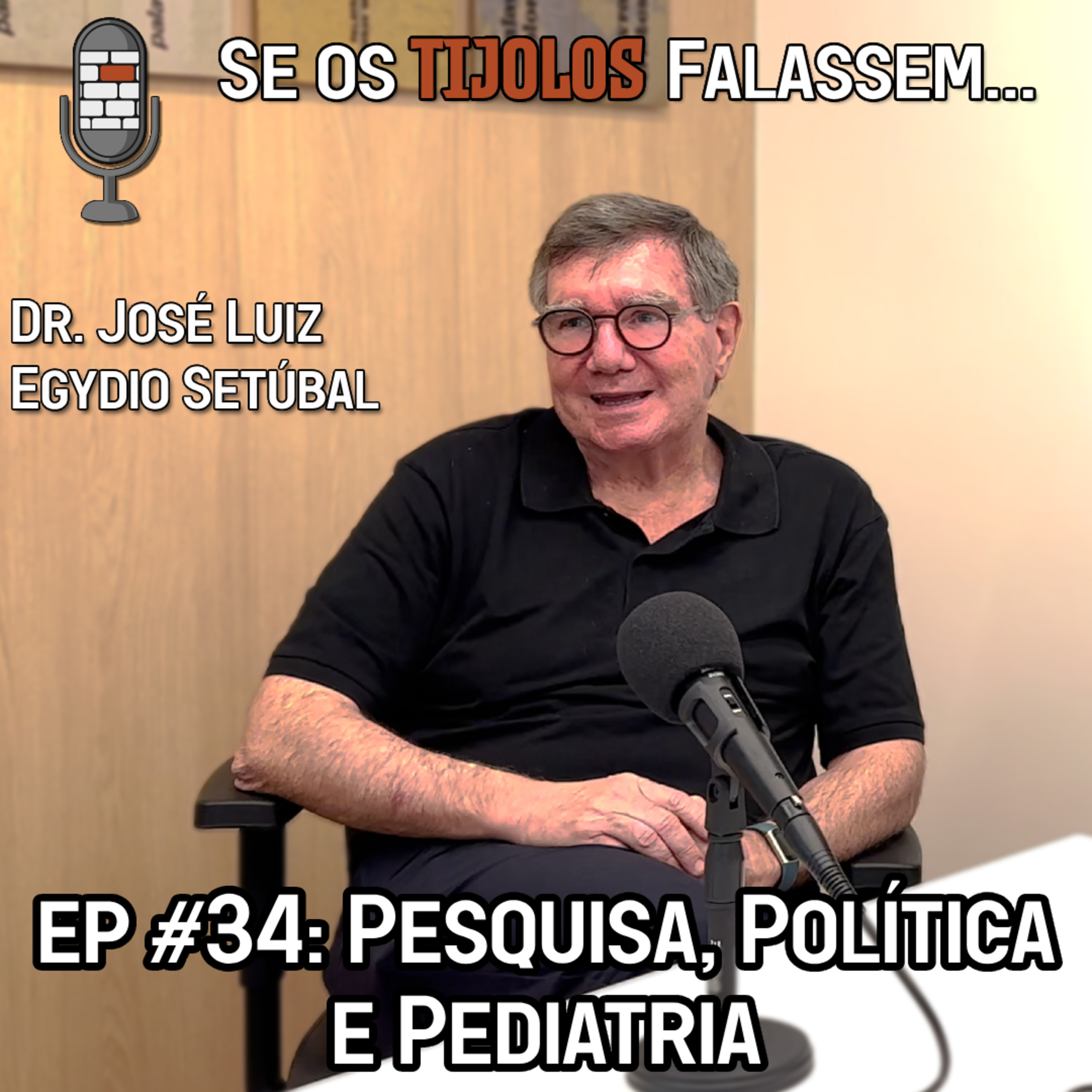 Se os Tijolos Falassem