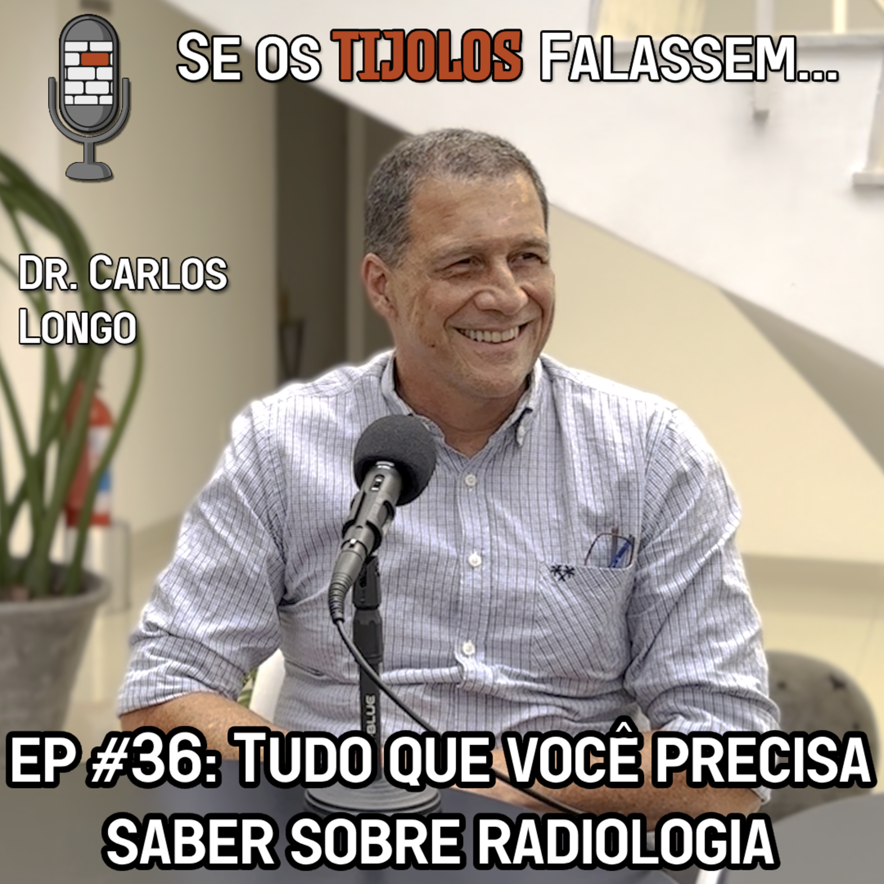 Se os Tijolos Falassem