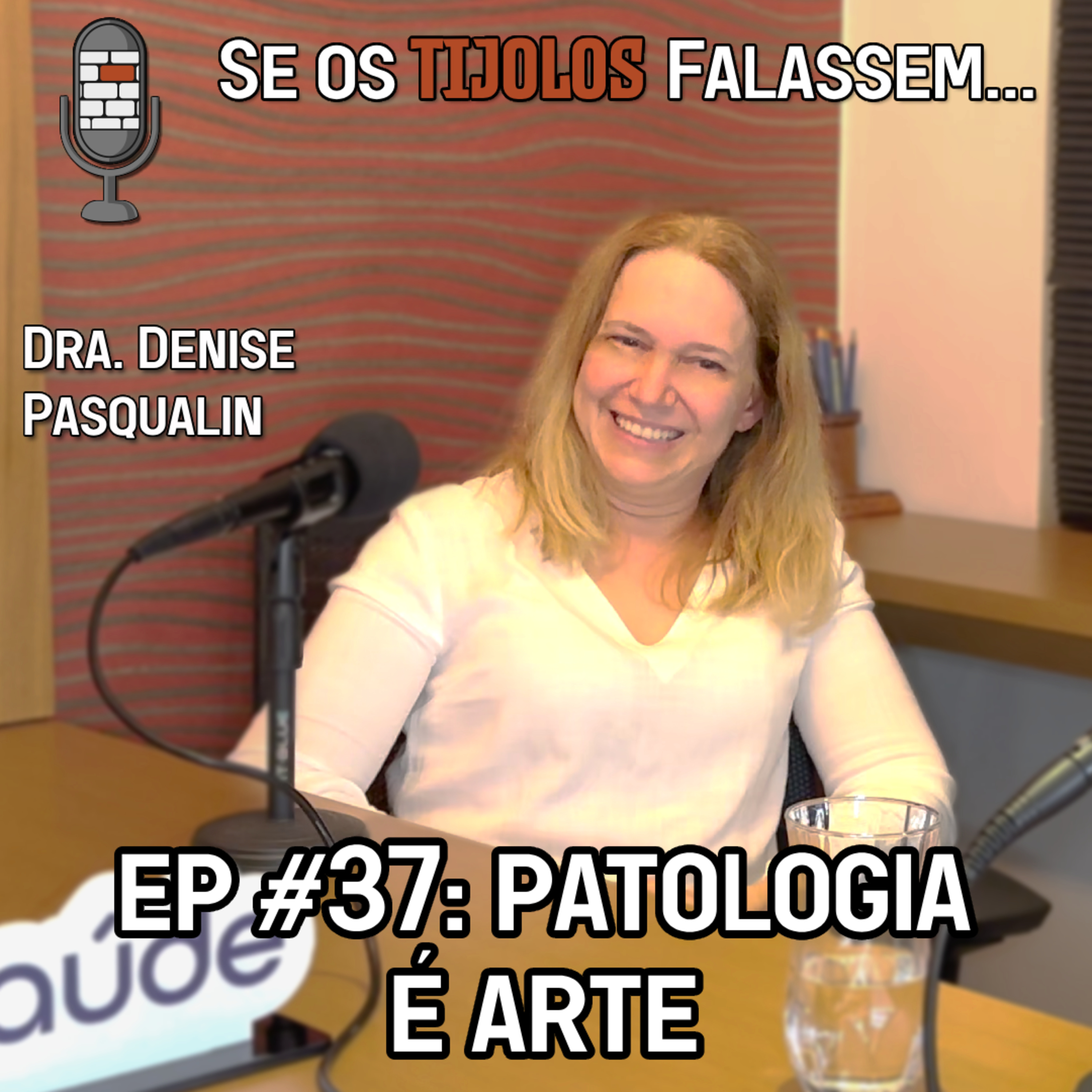 Se os Tijolos Falassem
