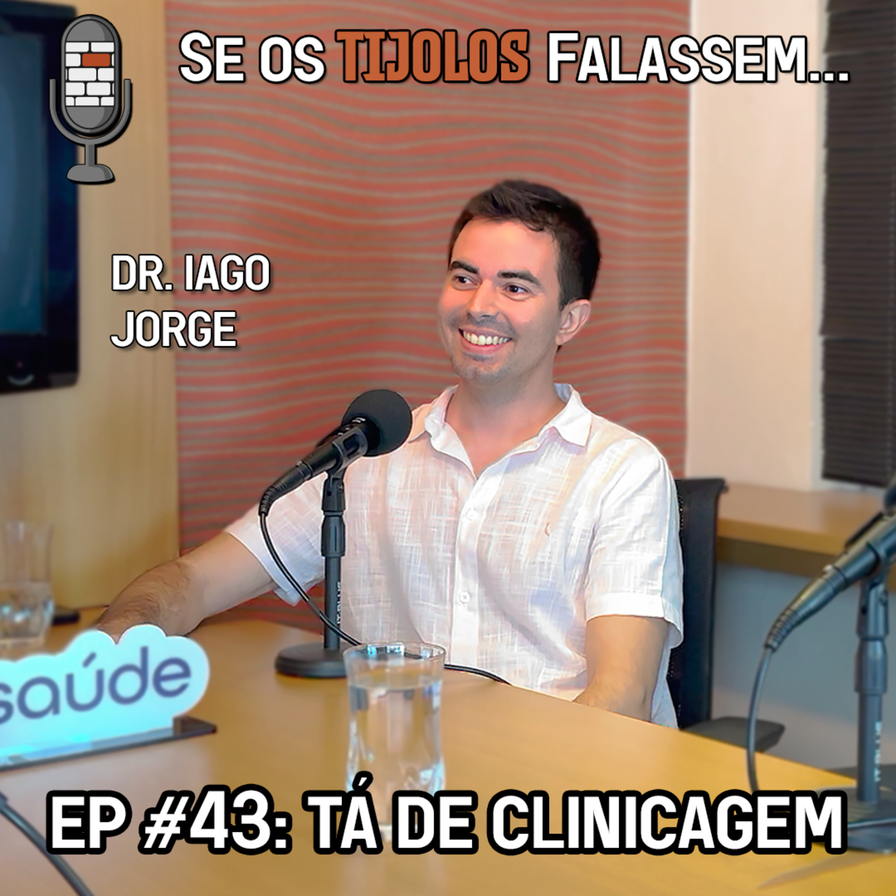 Se os Tijolos Falassem