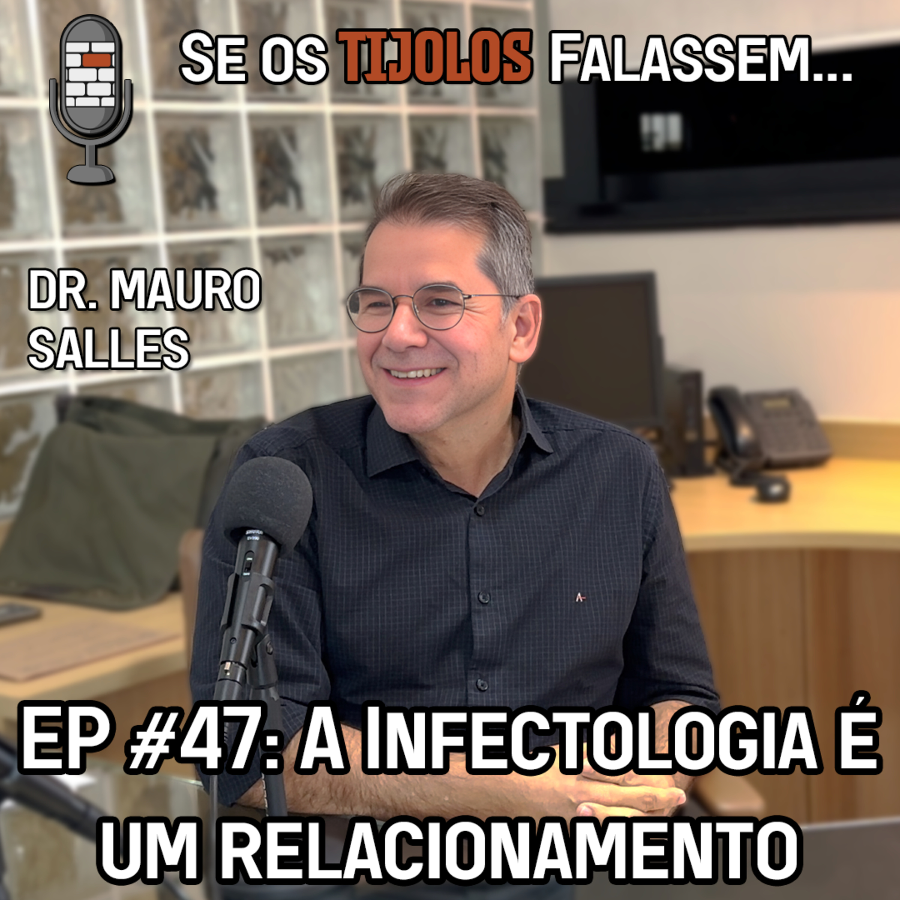 Se os Tijolos Falassem