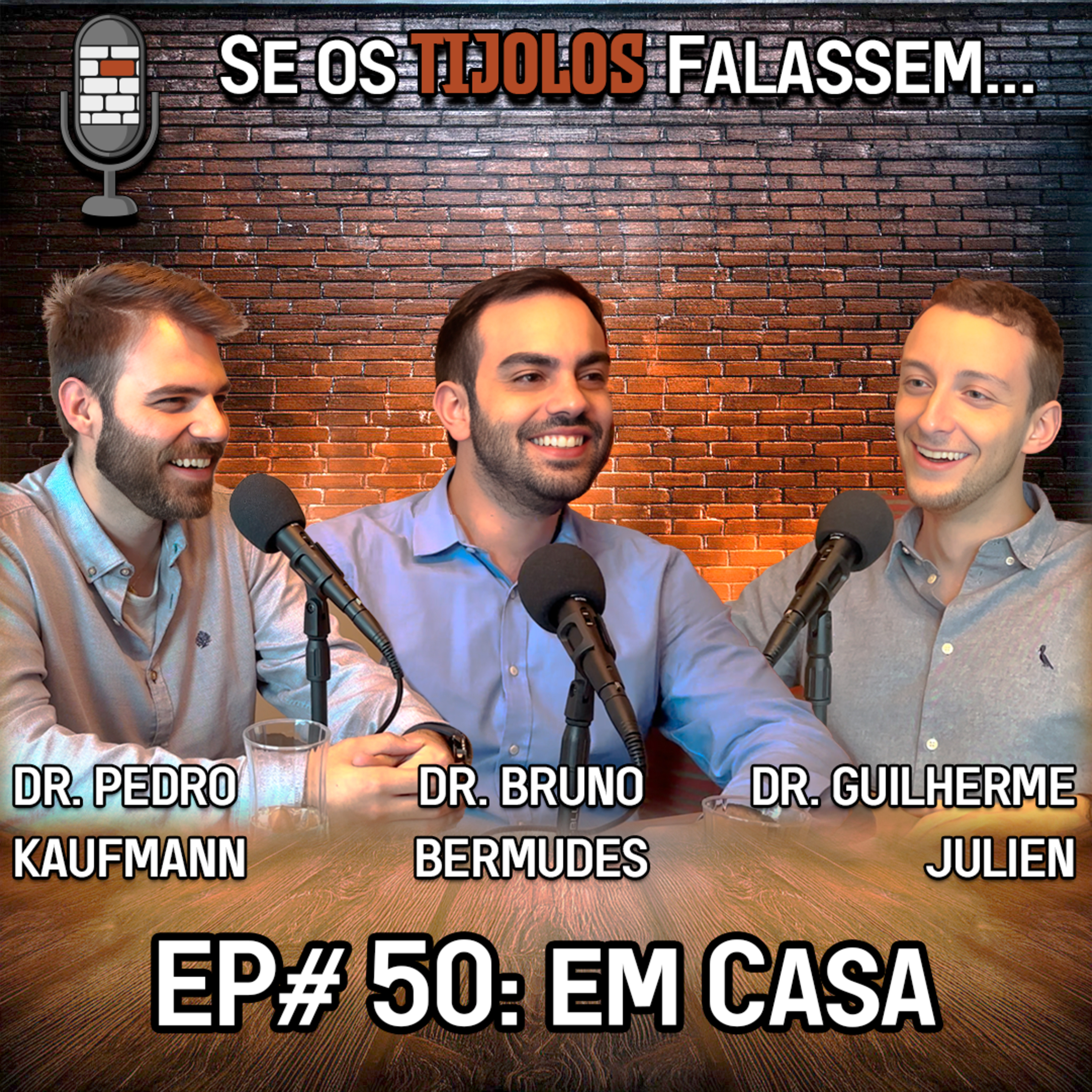 Se os Tijolos Falassem