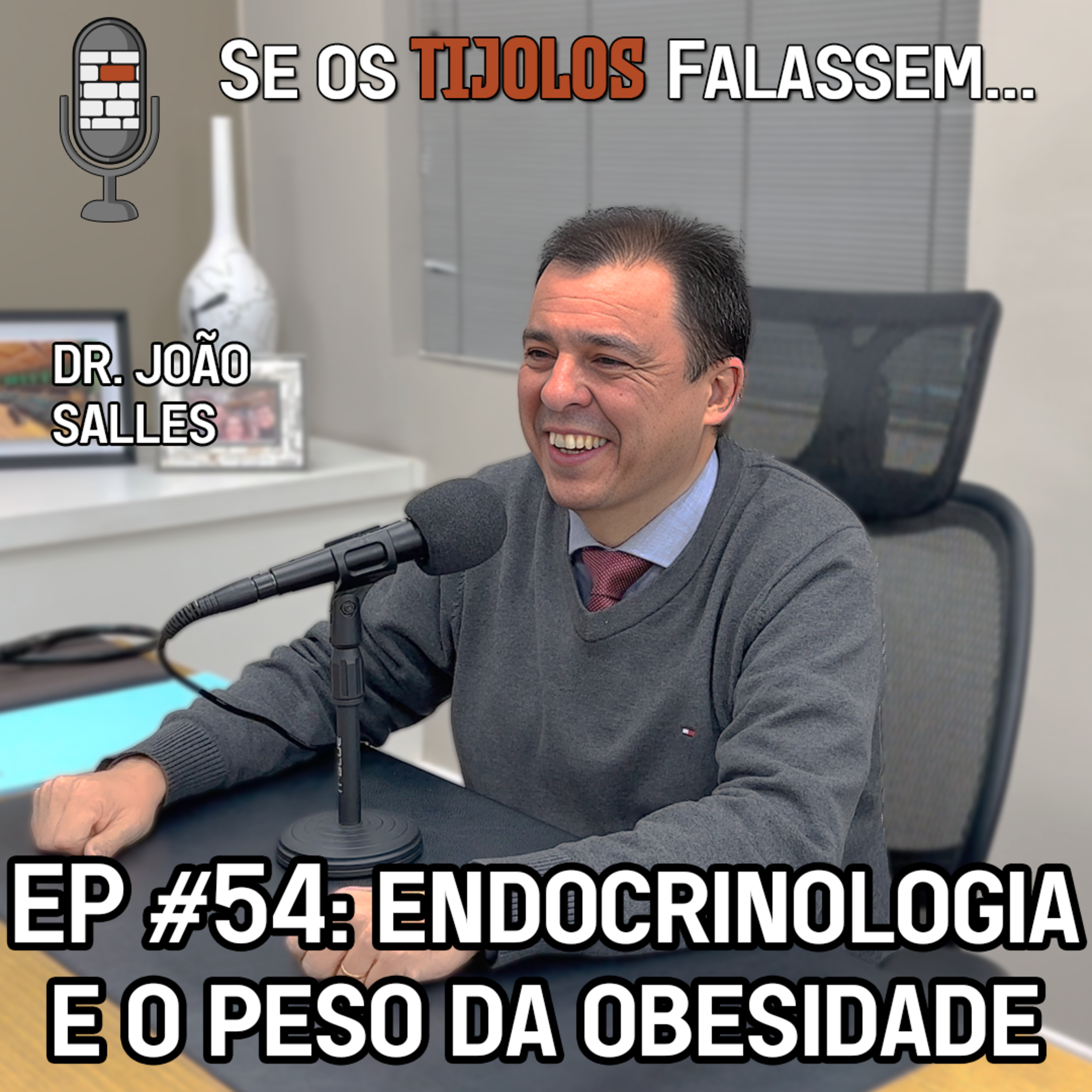 Se os Tijolos Falassem