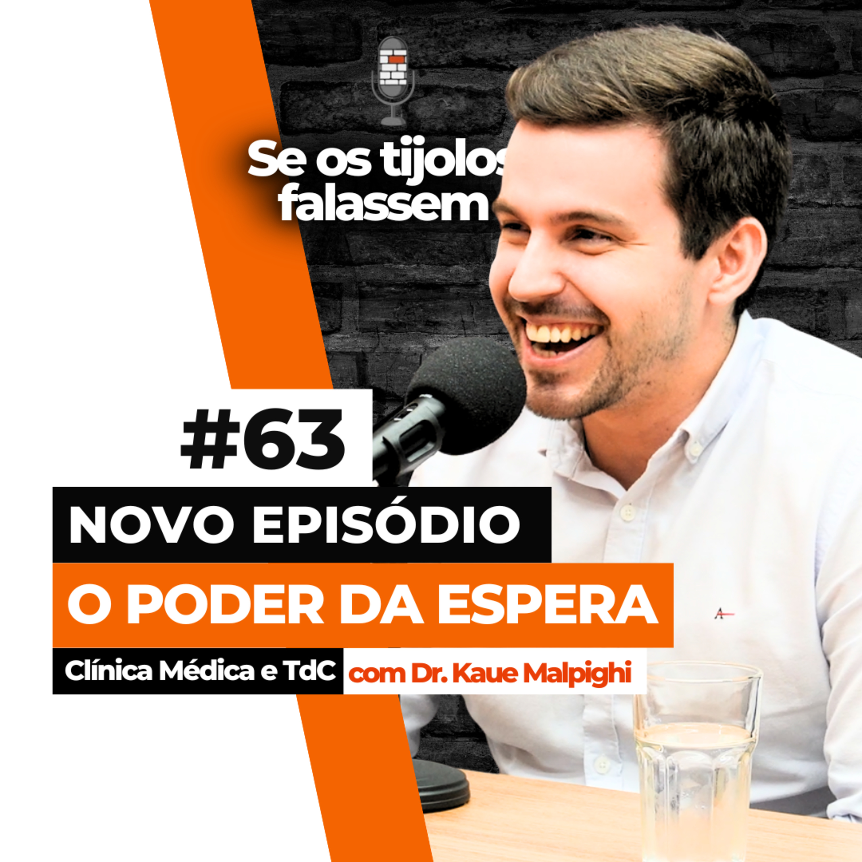 Se os Tijolos Falassem