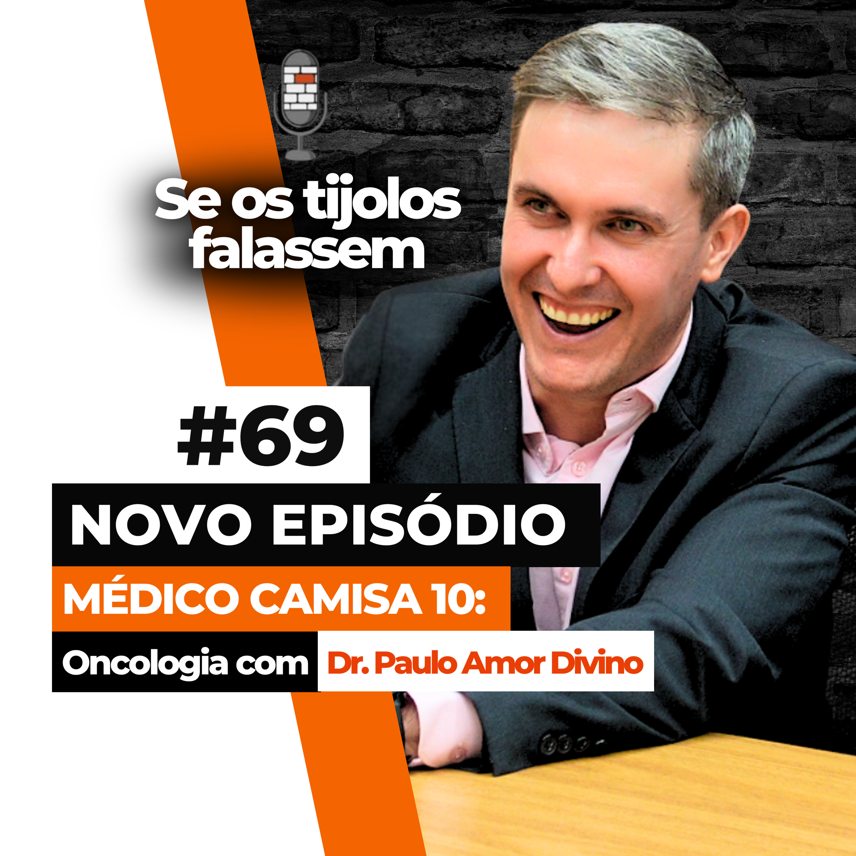 Se os Tijolos Falassem