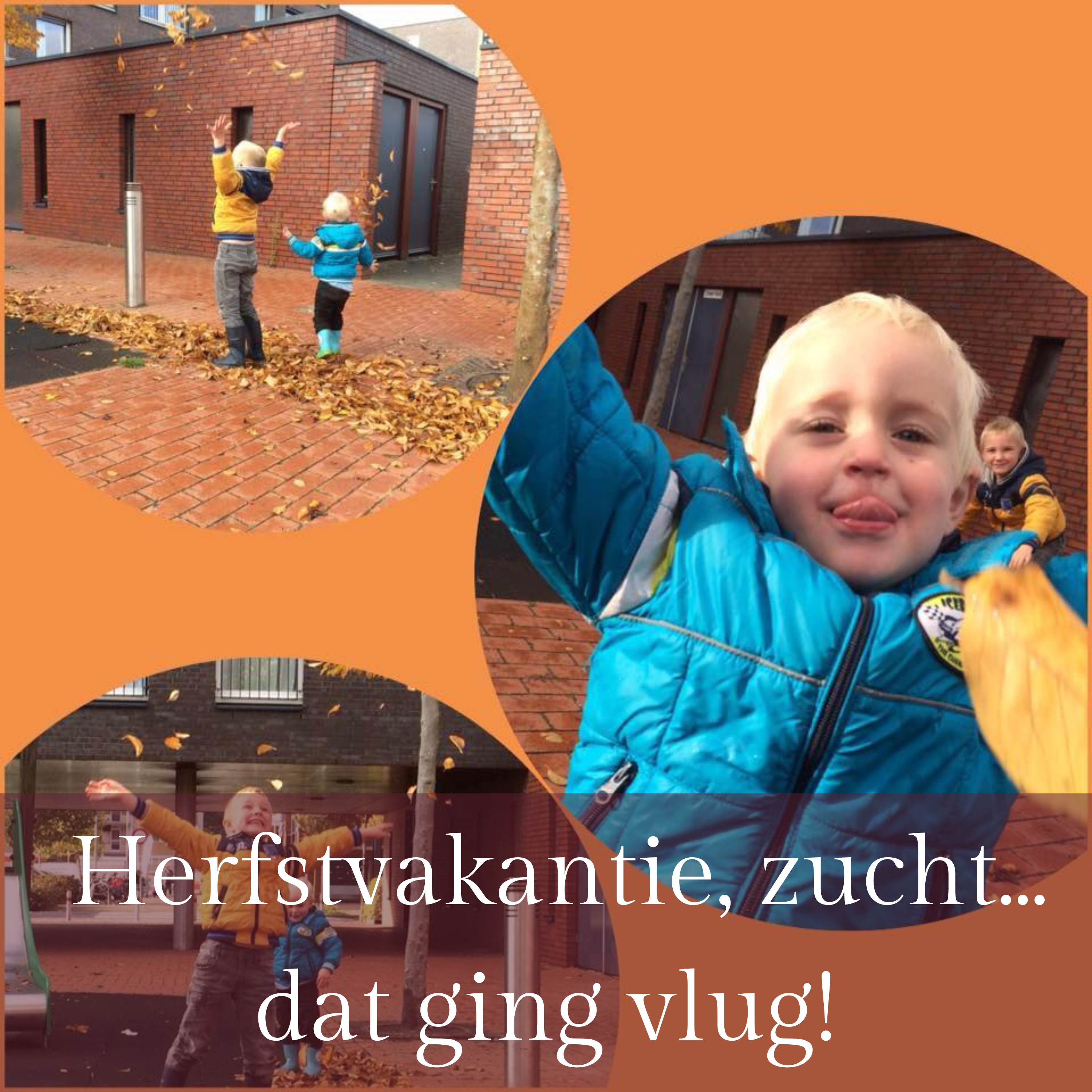 Herfstvakantie, zucht... dat ging vlug!