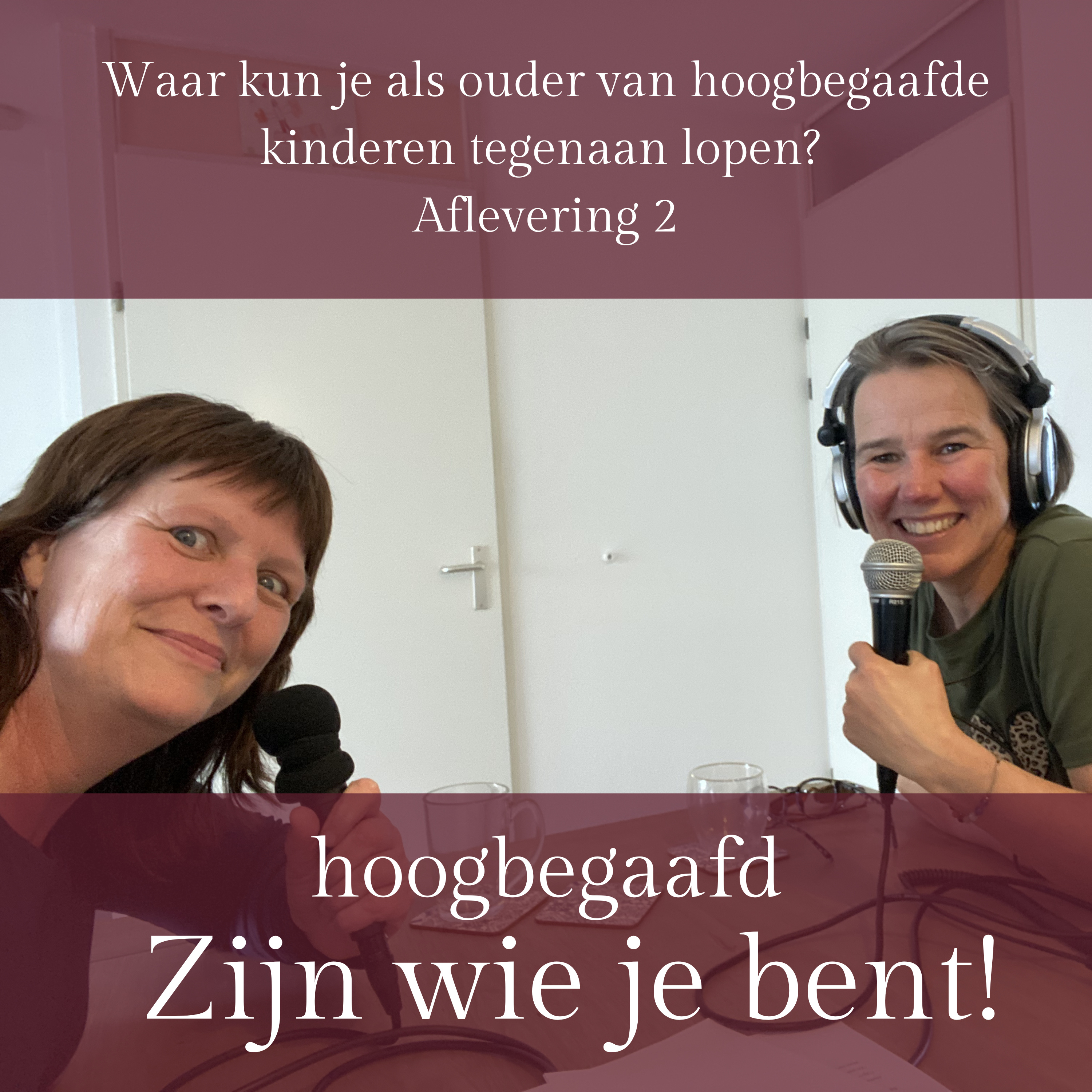 19. Waar kun je als ouder van (vermoedelijk) hoogbegaafde kinderen tegenaan lopen? Aflevering 2