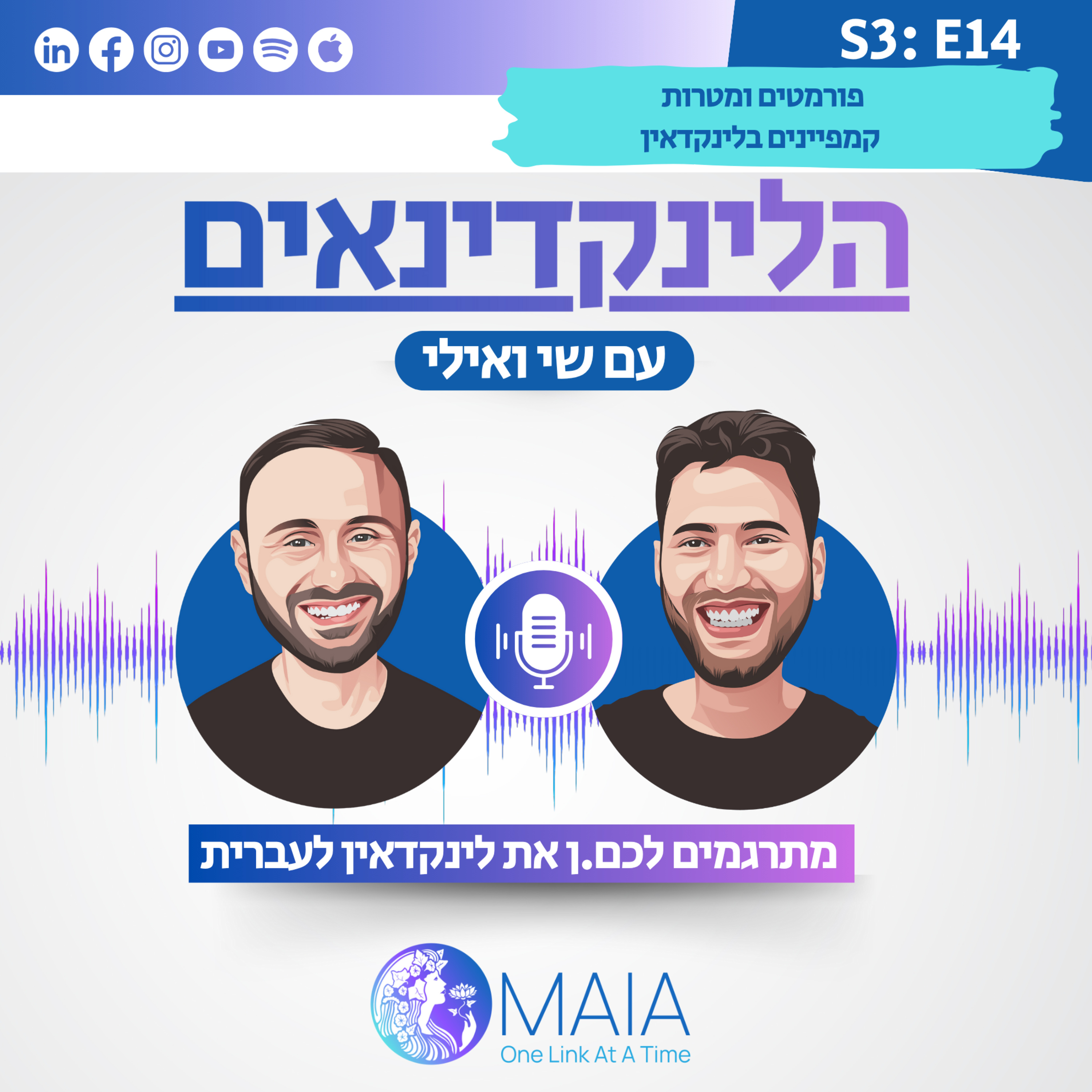 פורמטים ומטרות קמפיינים בלינקדאין episode artwork