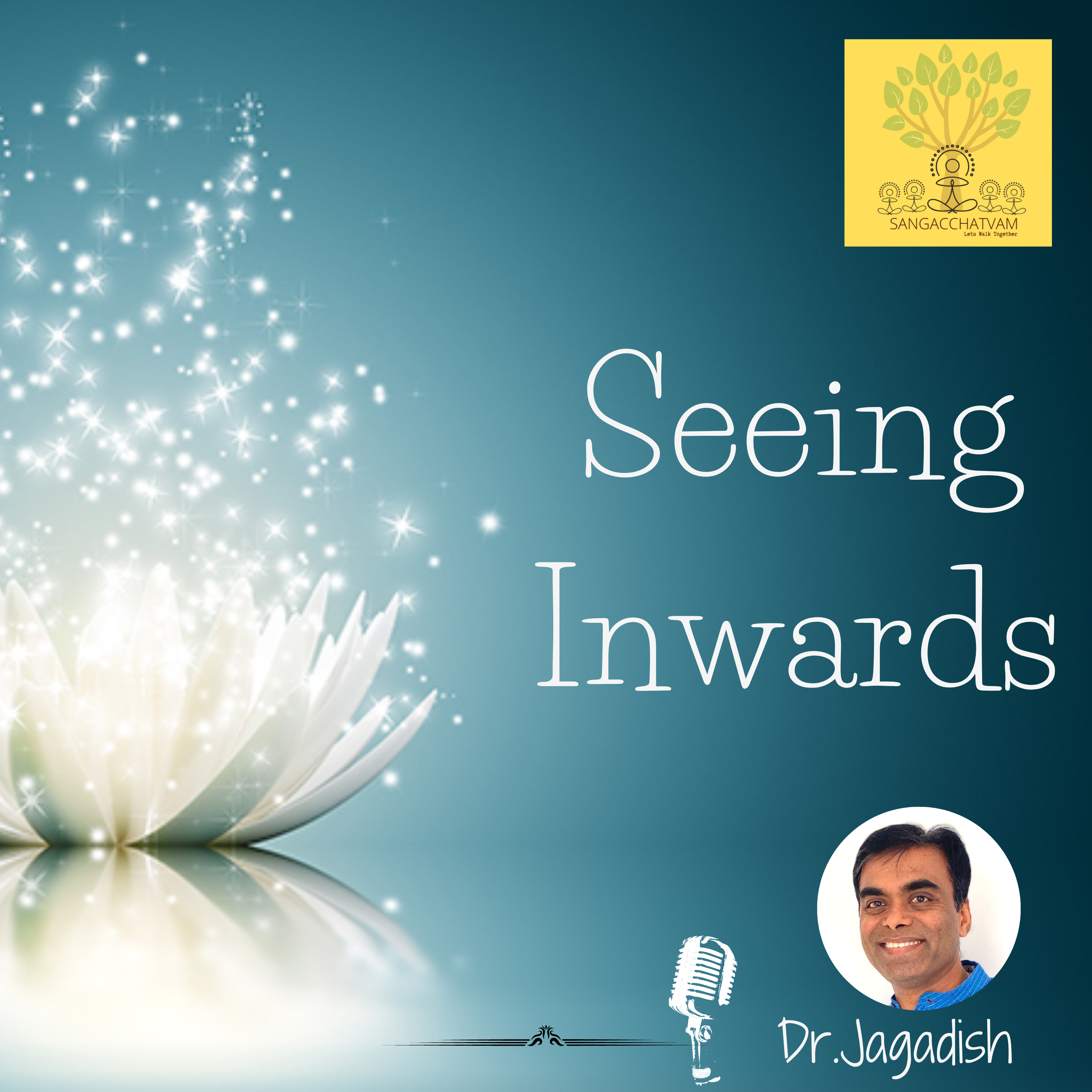 Seeing Inwards - P#100 episode artwork