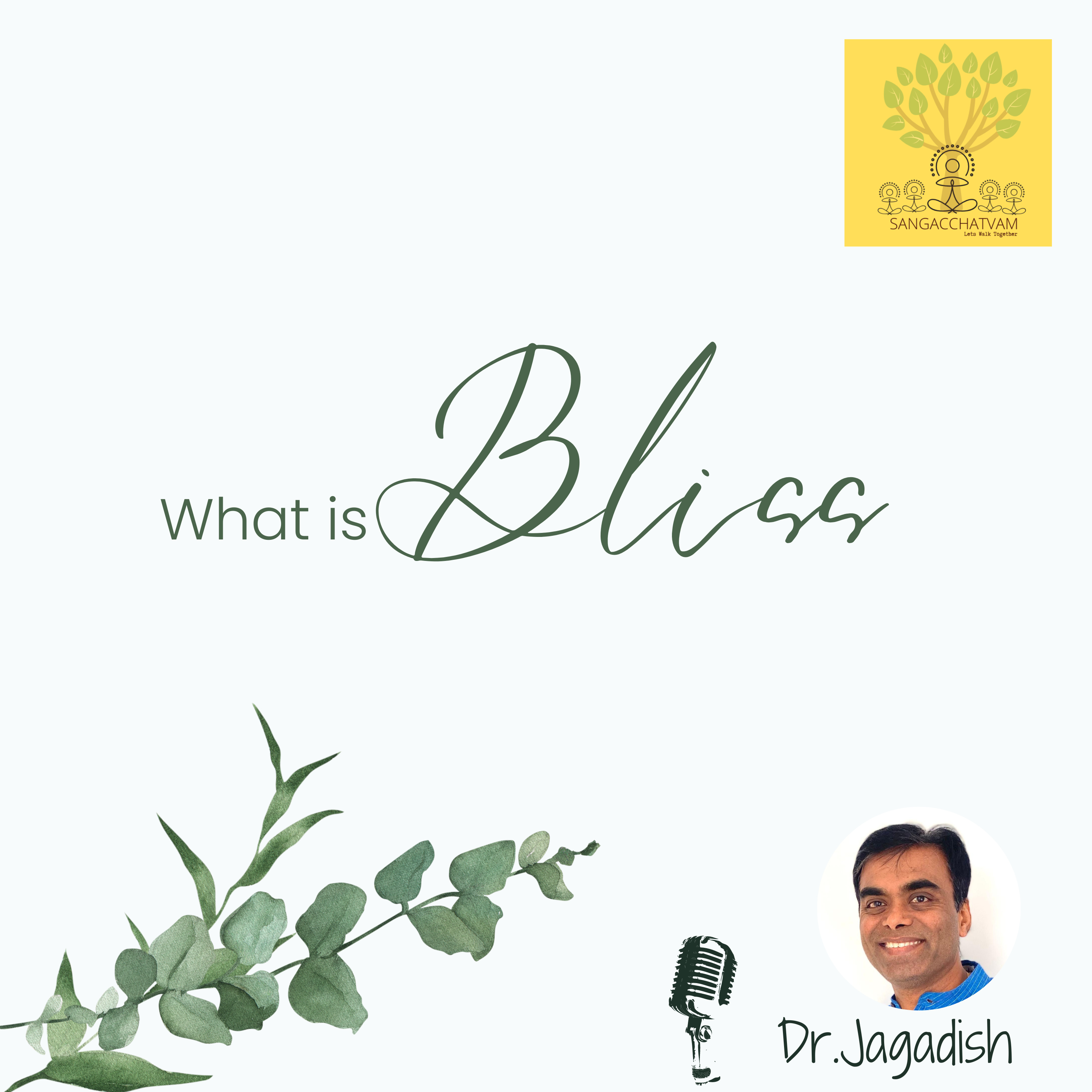 What is Bliss - P#120 episode artwork