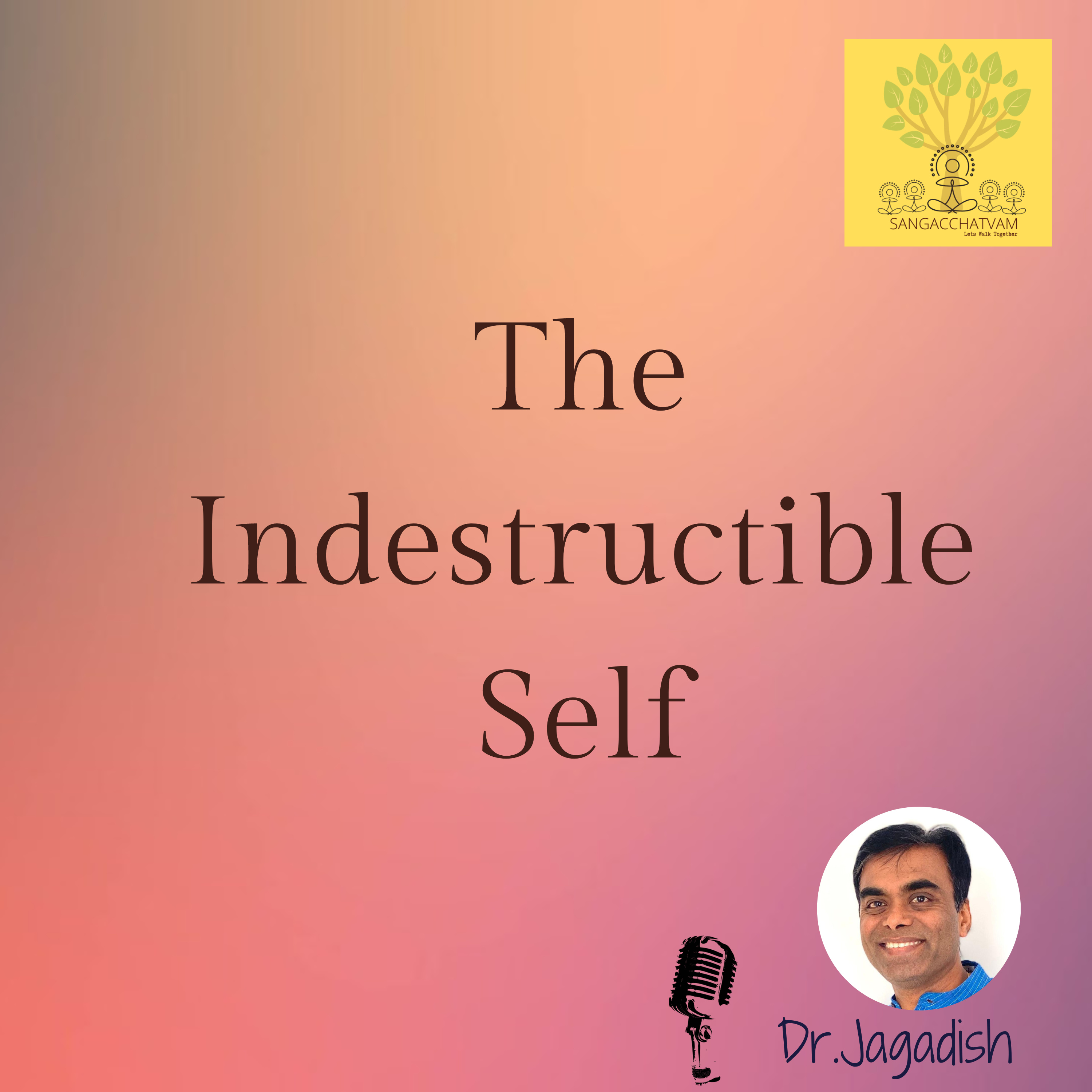 The Indestructible Self - P#124 episode artwork