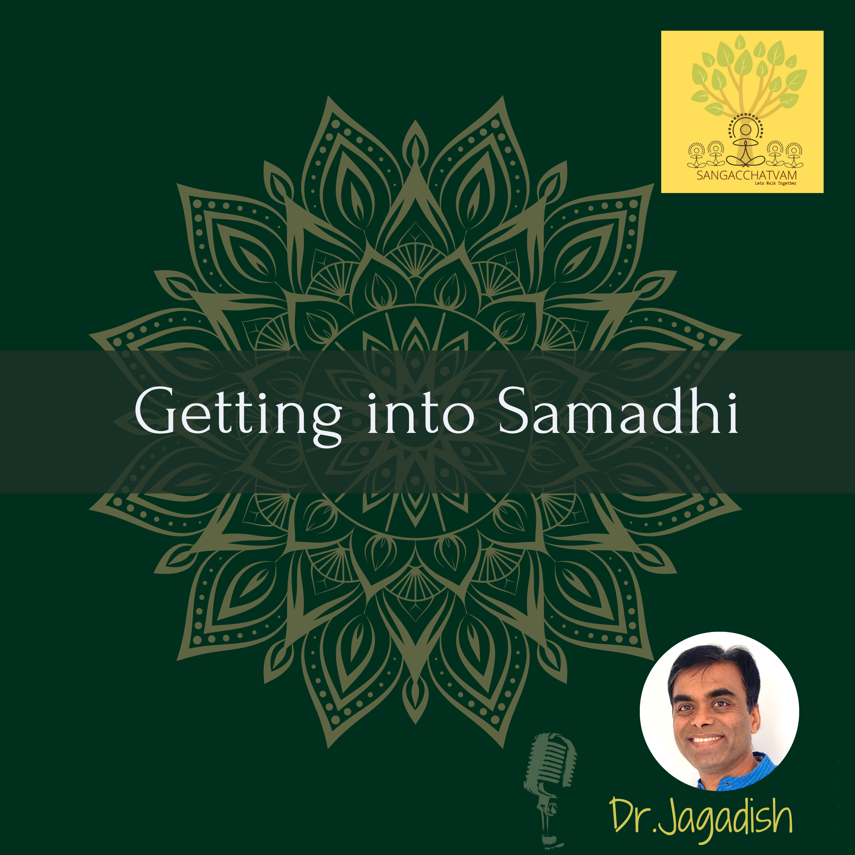 Getting into Samadhi - P#137 episode artwork