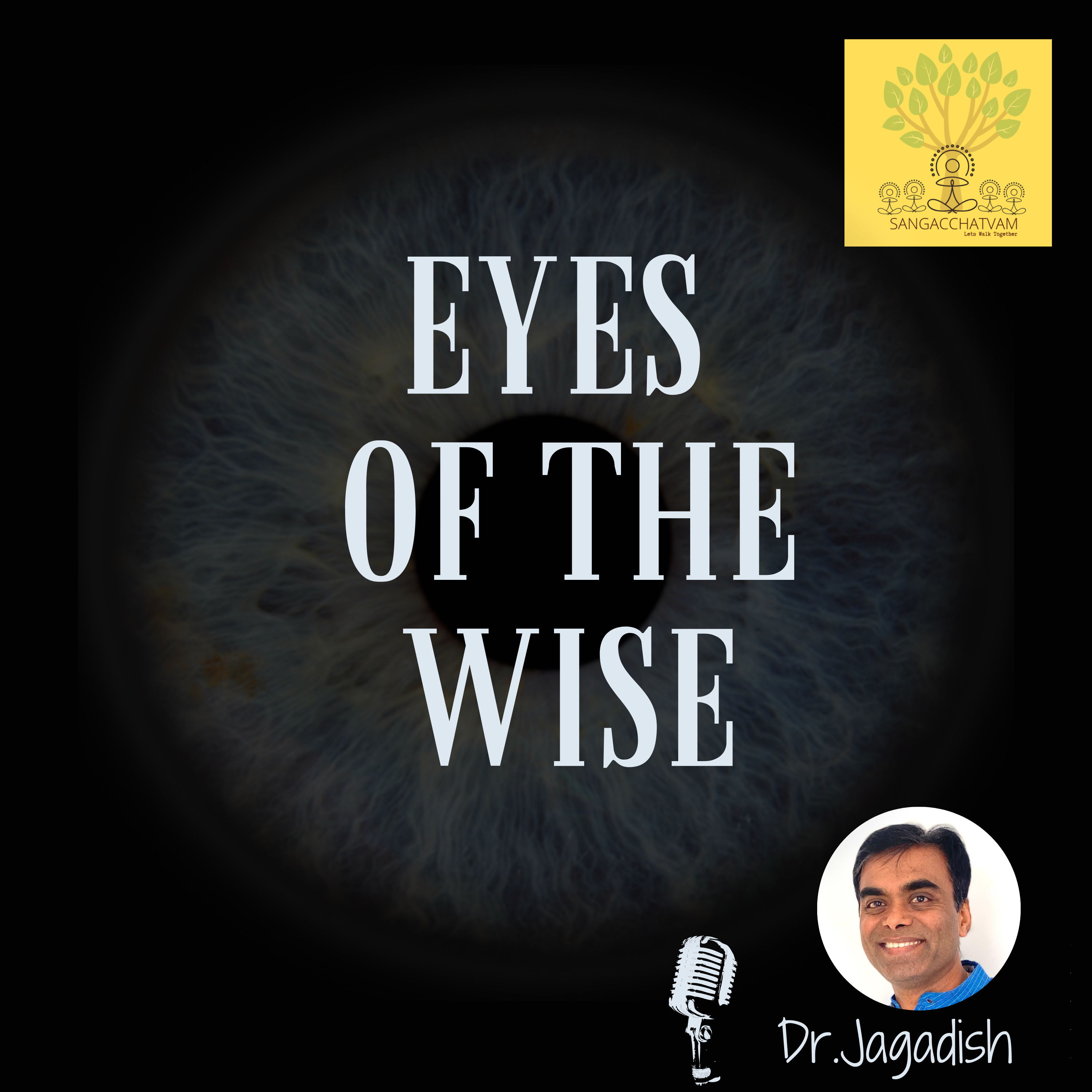 Eyes of the Wise- P#174 episode artwork