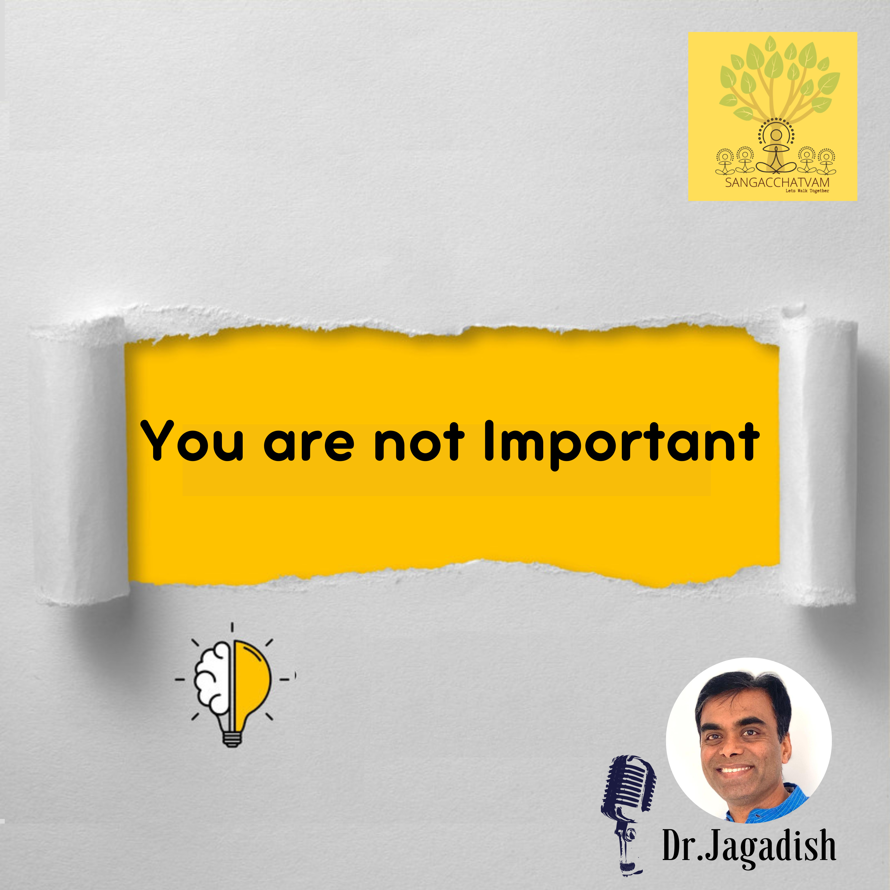 You are not Important - P#208 episode artwork