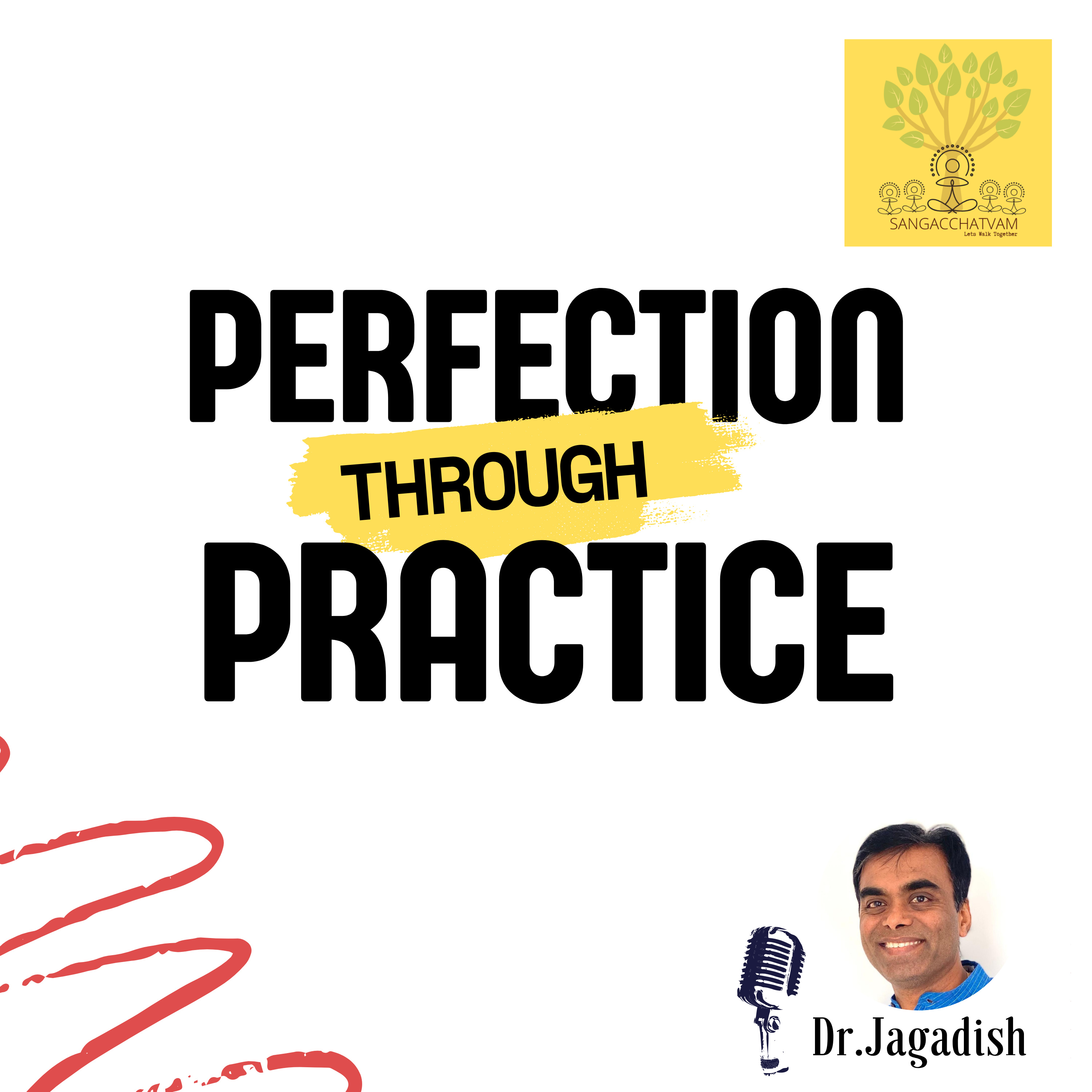 Perfection through Practice - P#221 episode artwork