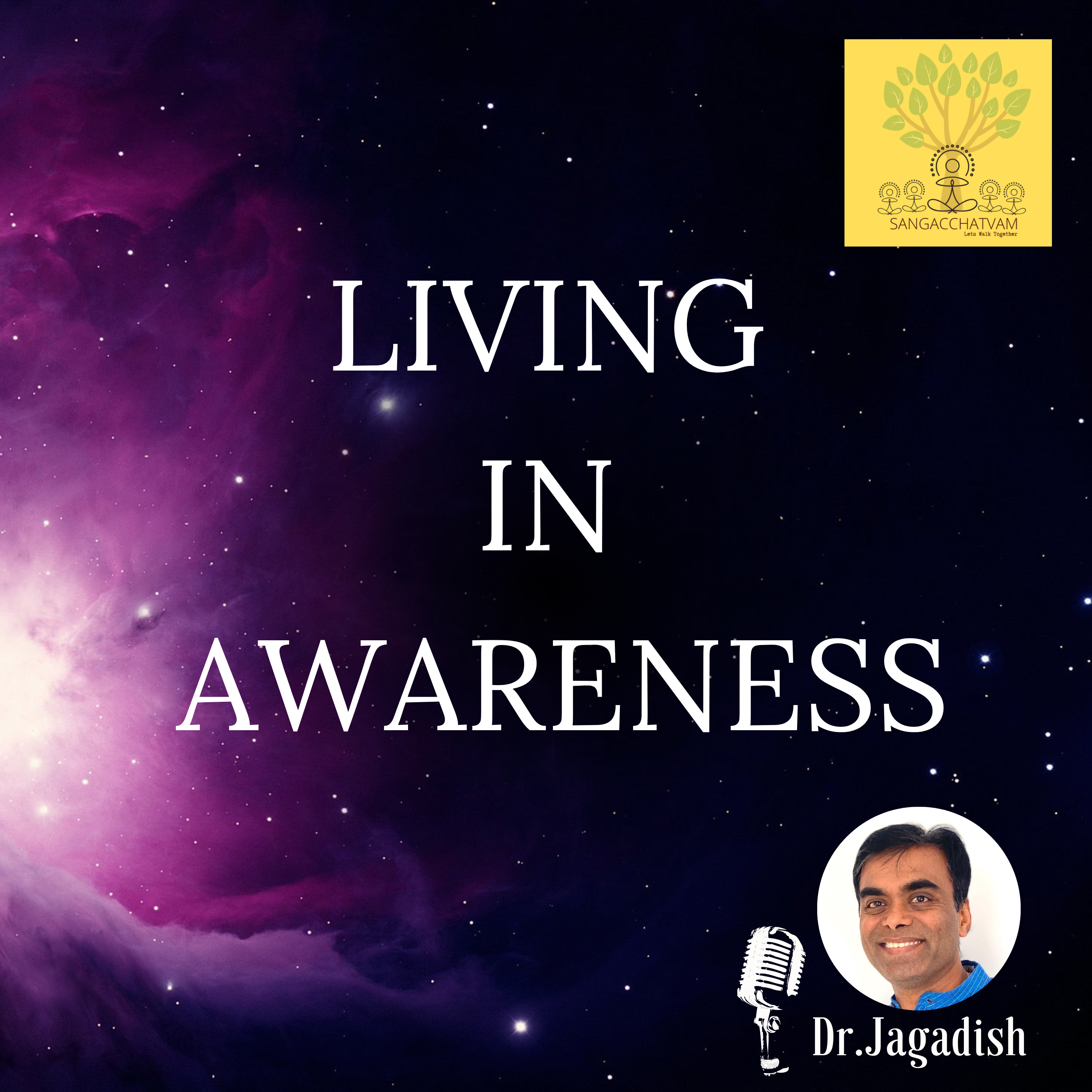 Living in Awareness - P#228 episode artwork