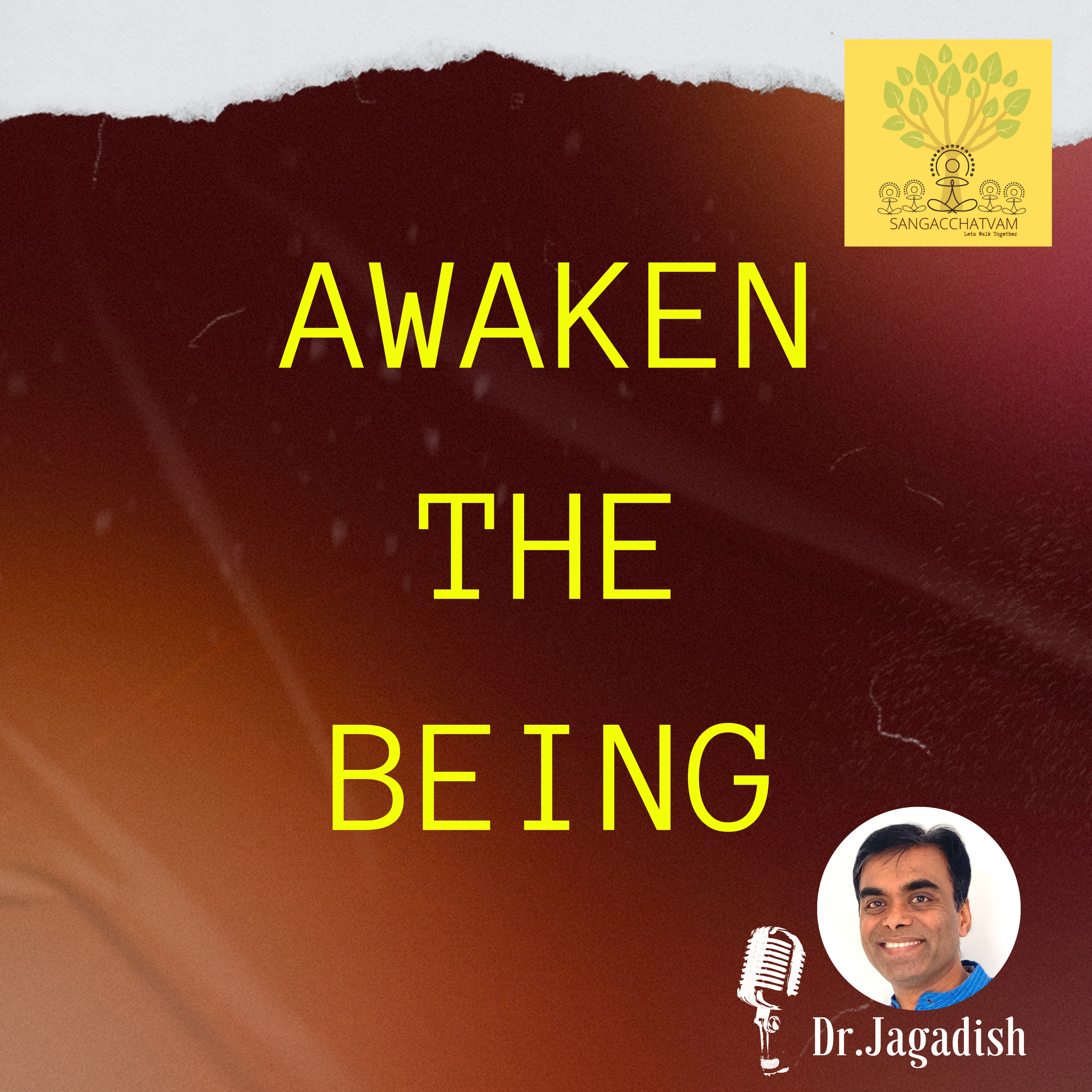 Awaken the Being - P#229 episode artwork