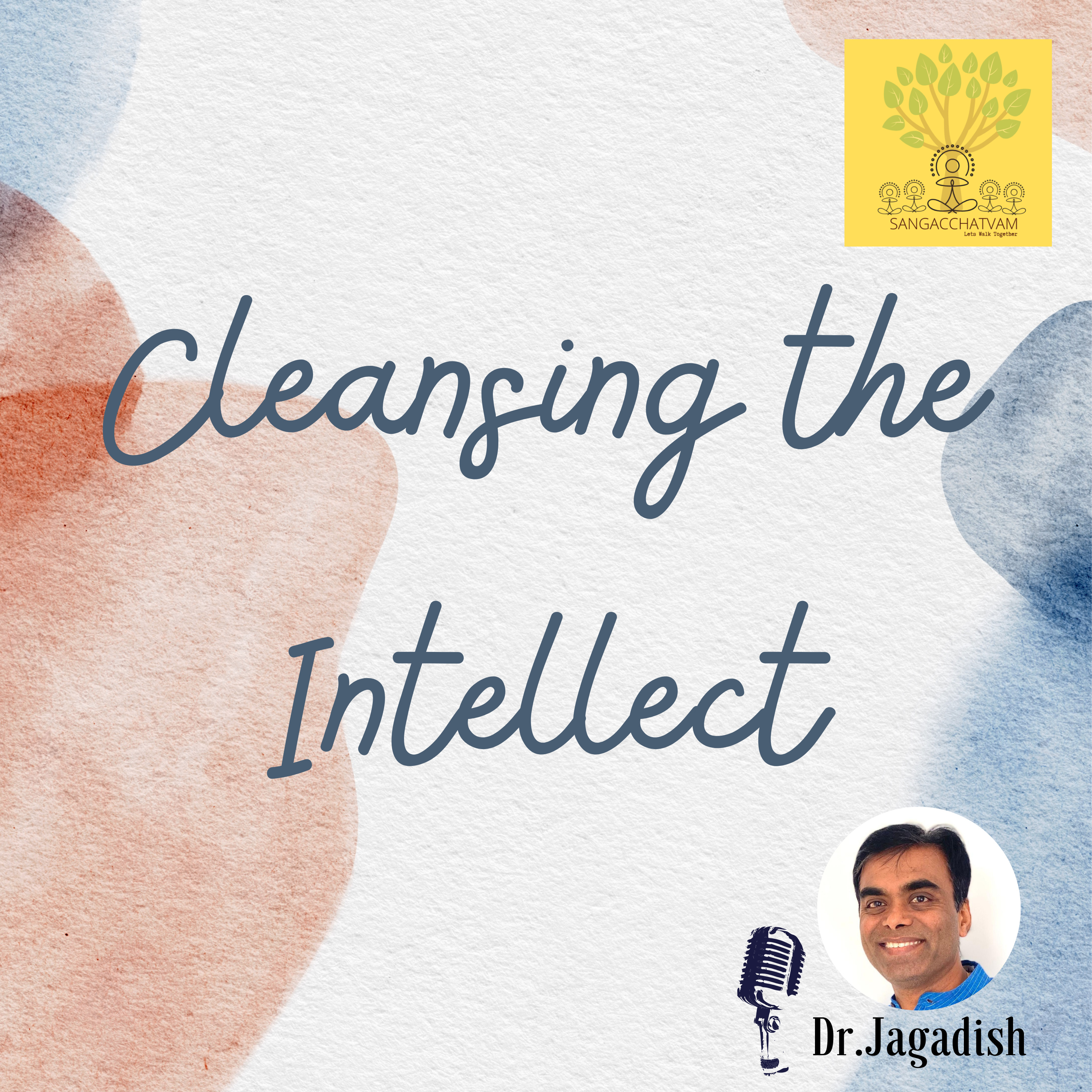 Cleansing the Intellect - P#245 episode artwork