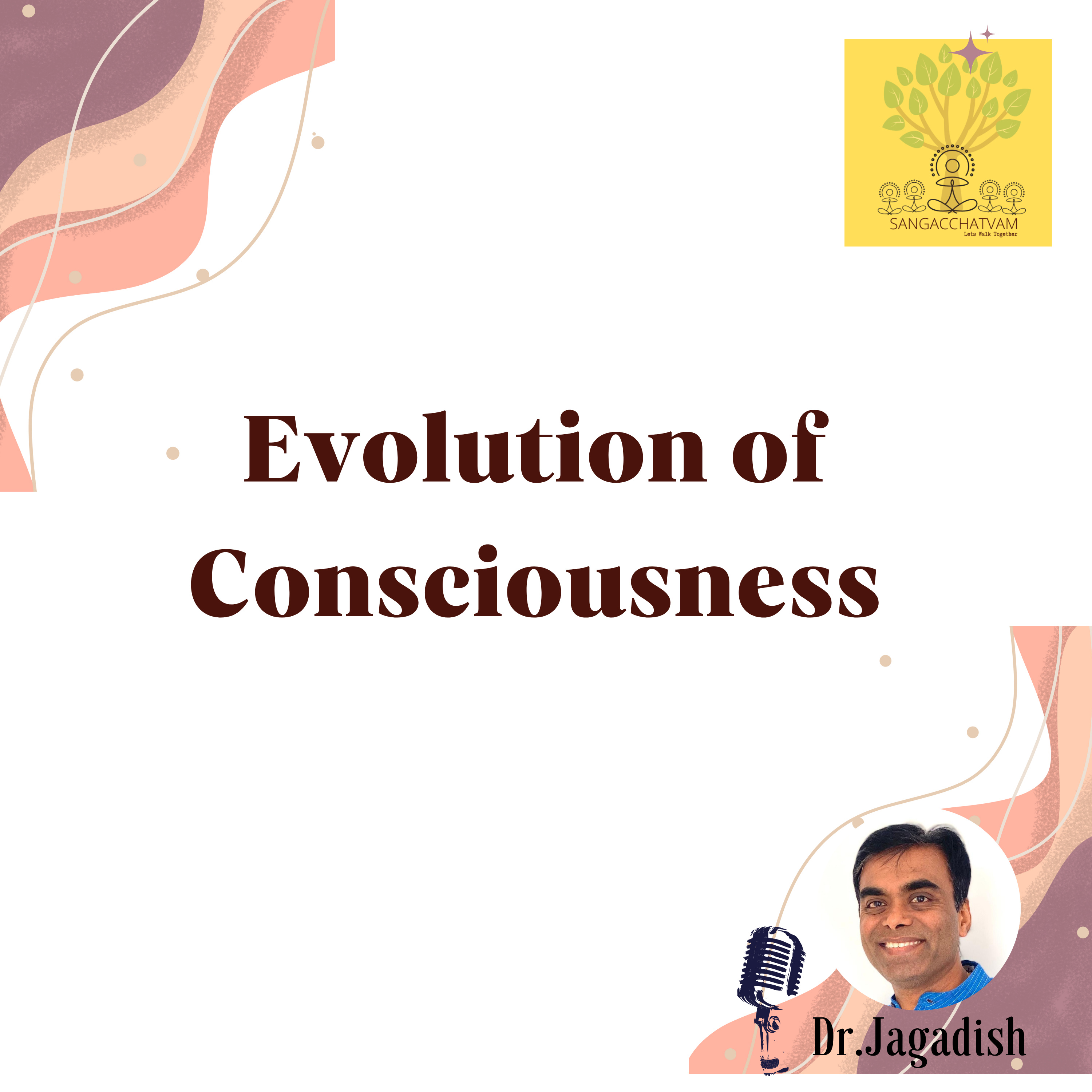 Evolution of consciousness - P#247 episode artwork