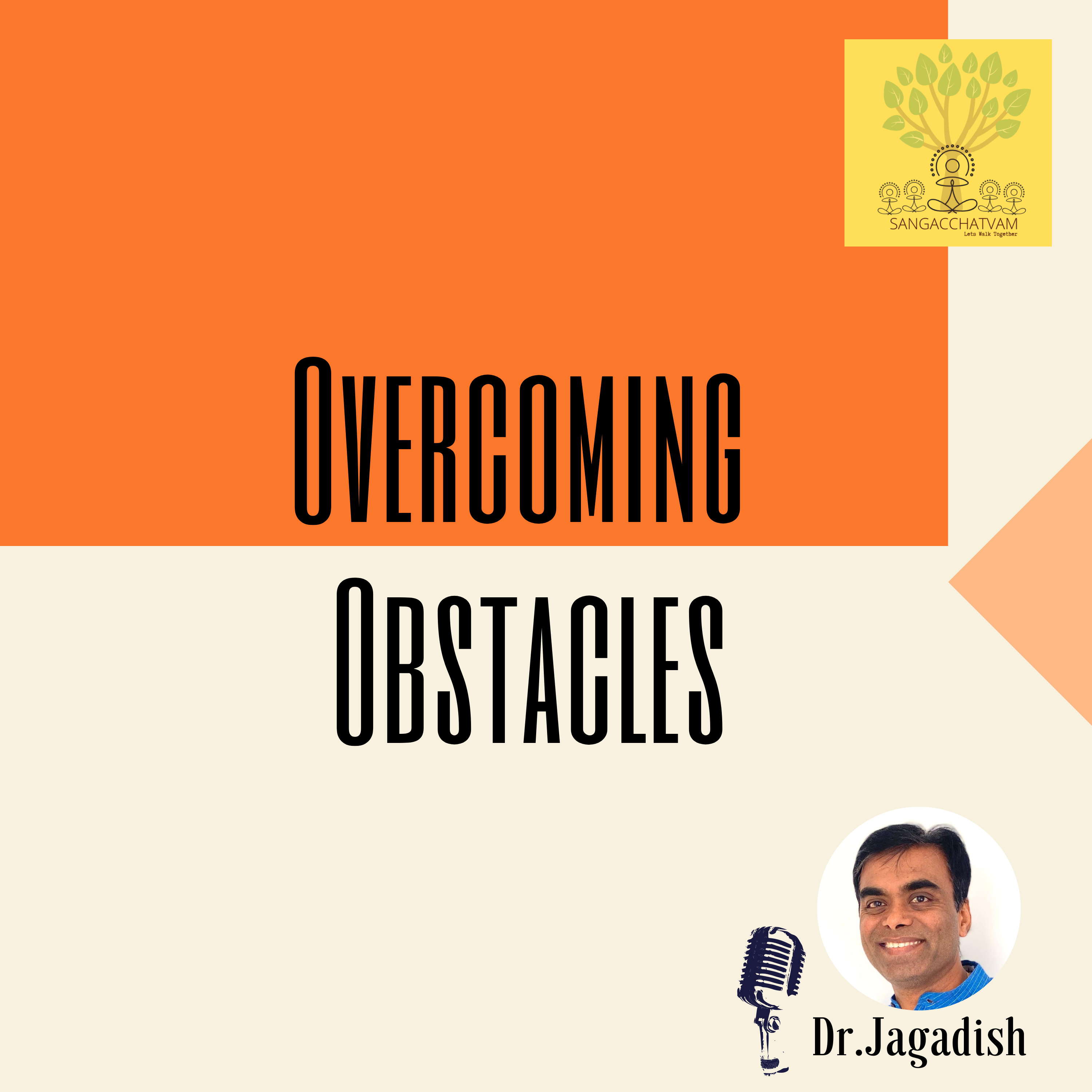 Overcoming Obstacles - P#248 episode artwork