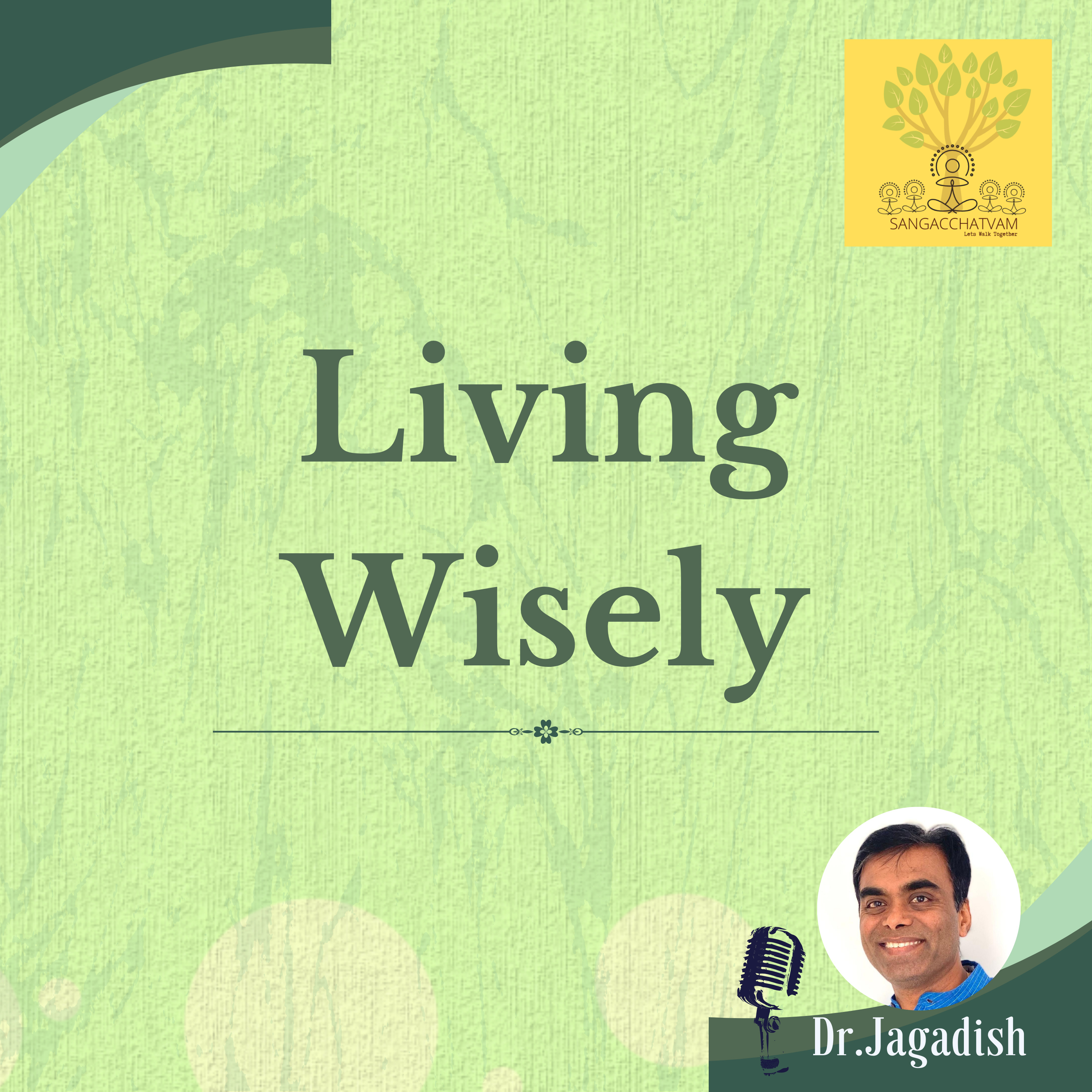 Living Wisely - P#252 episode artwork