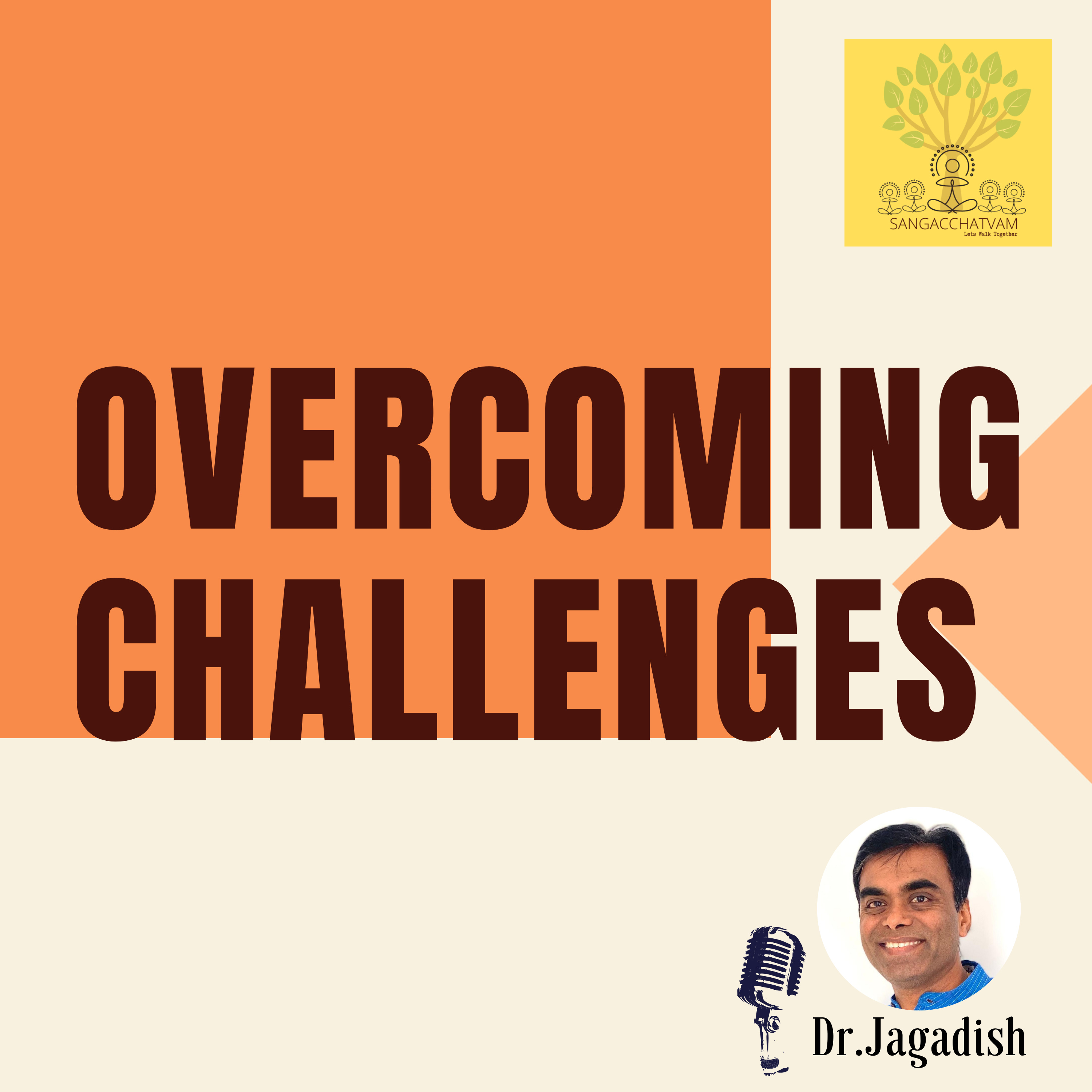 Overcoming Challenges - P#264 episode artwork