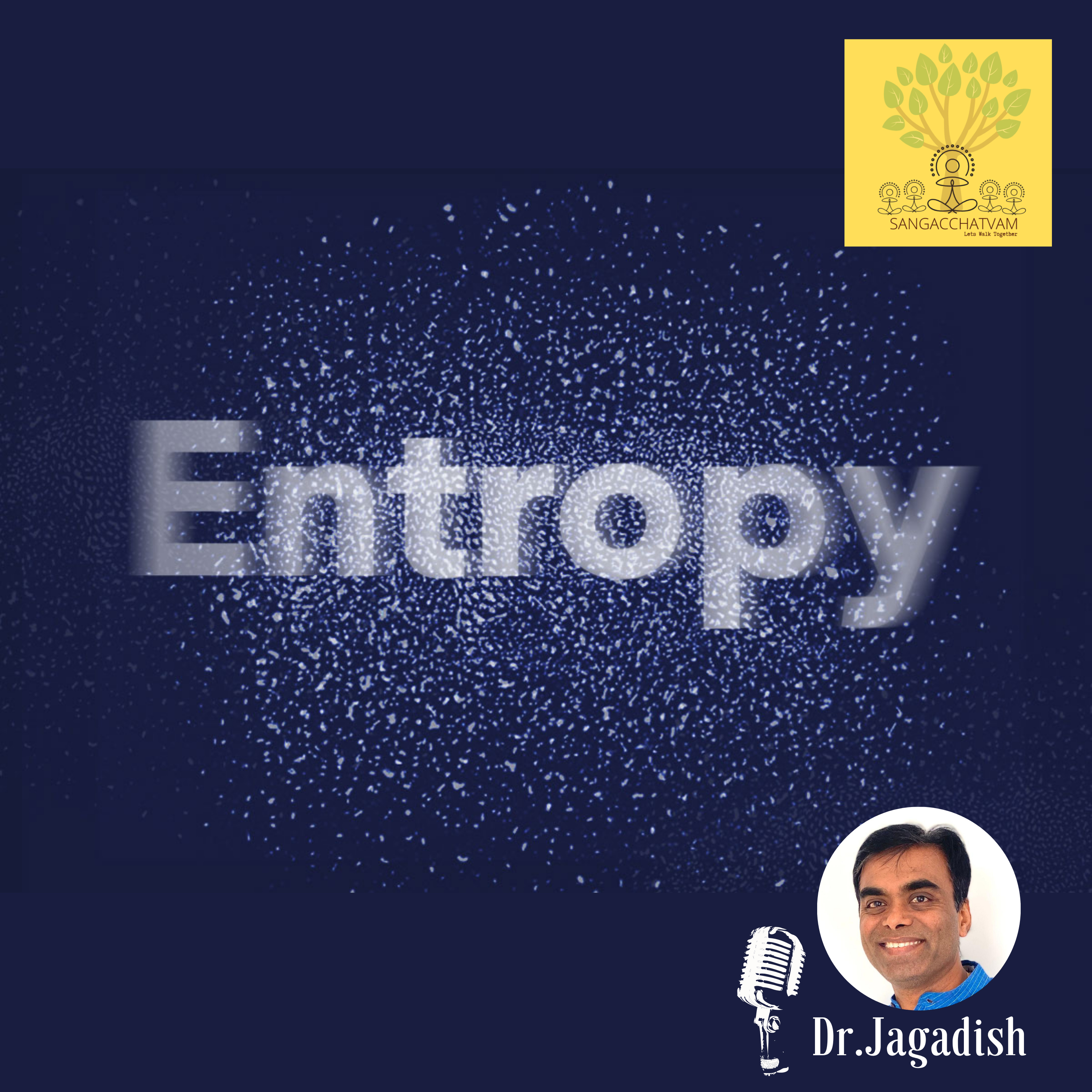 Entropy - P#270 episode artwork