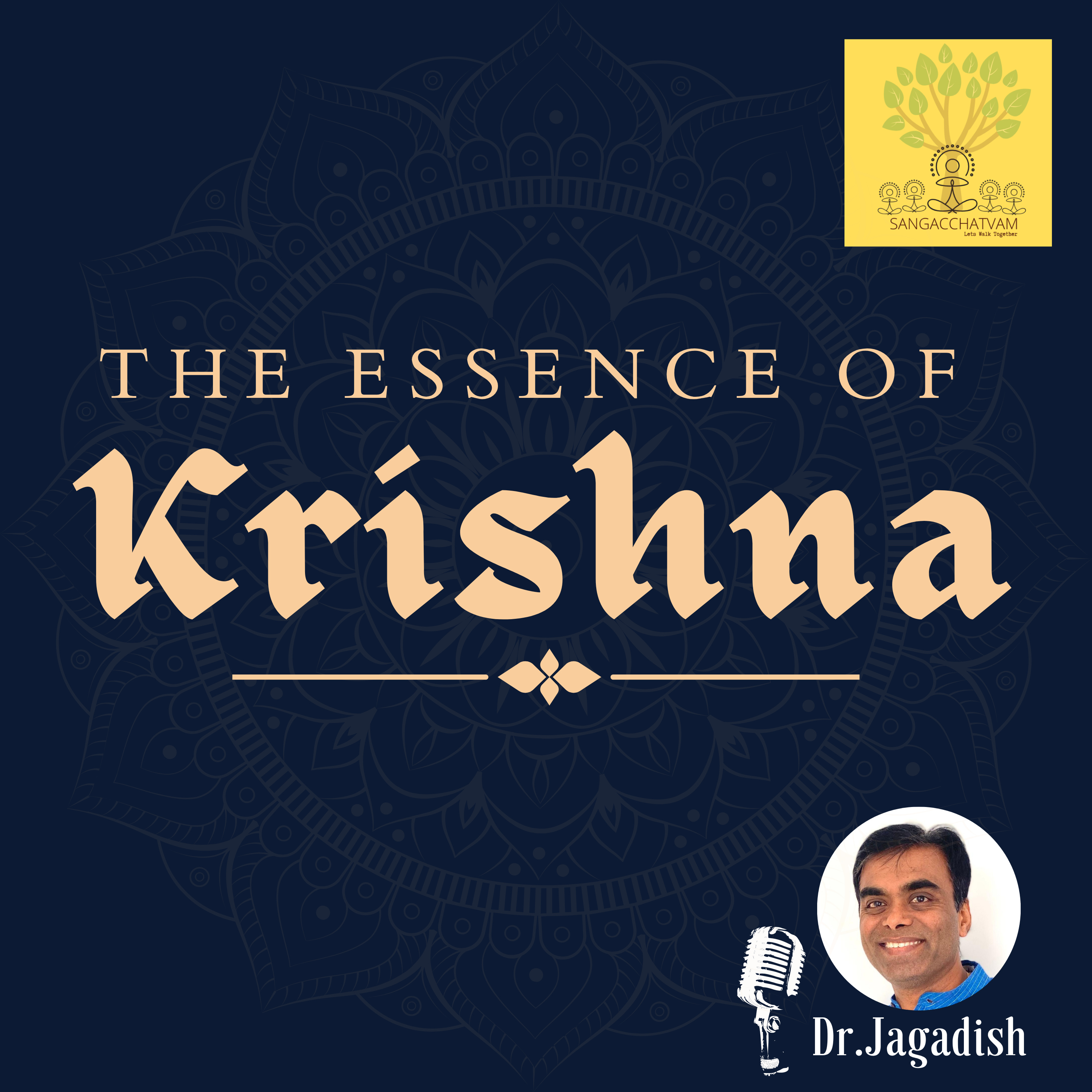 The Essence of Krishna - P#280 episode artwork