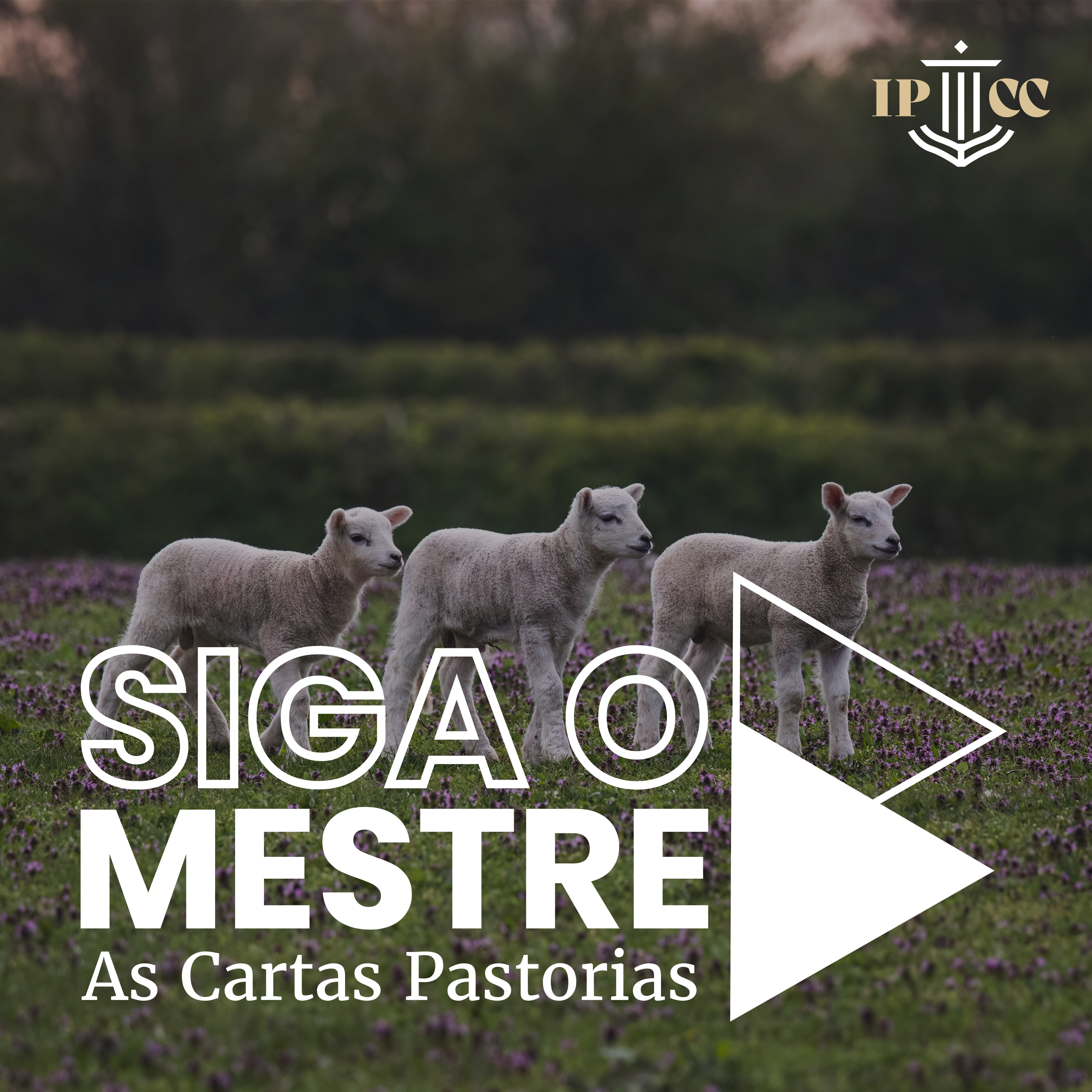O Presbiterianismo Bíblico - I Timóteo 5.17-25 - Rev. Ronaldo Vasconcelos episode artwork