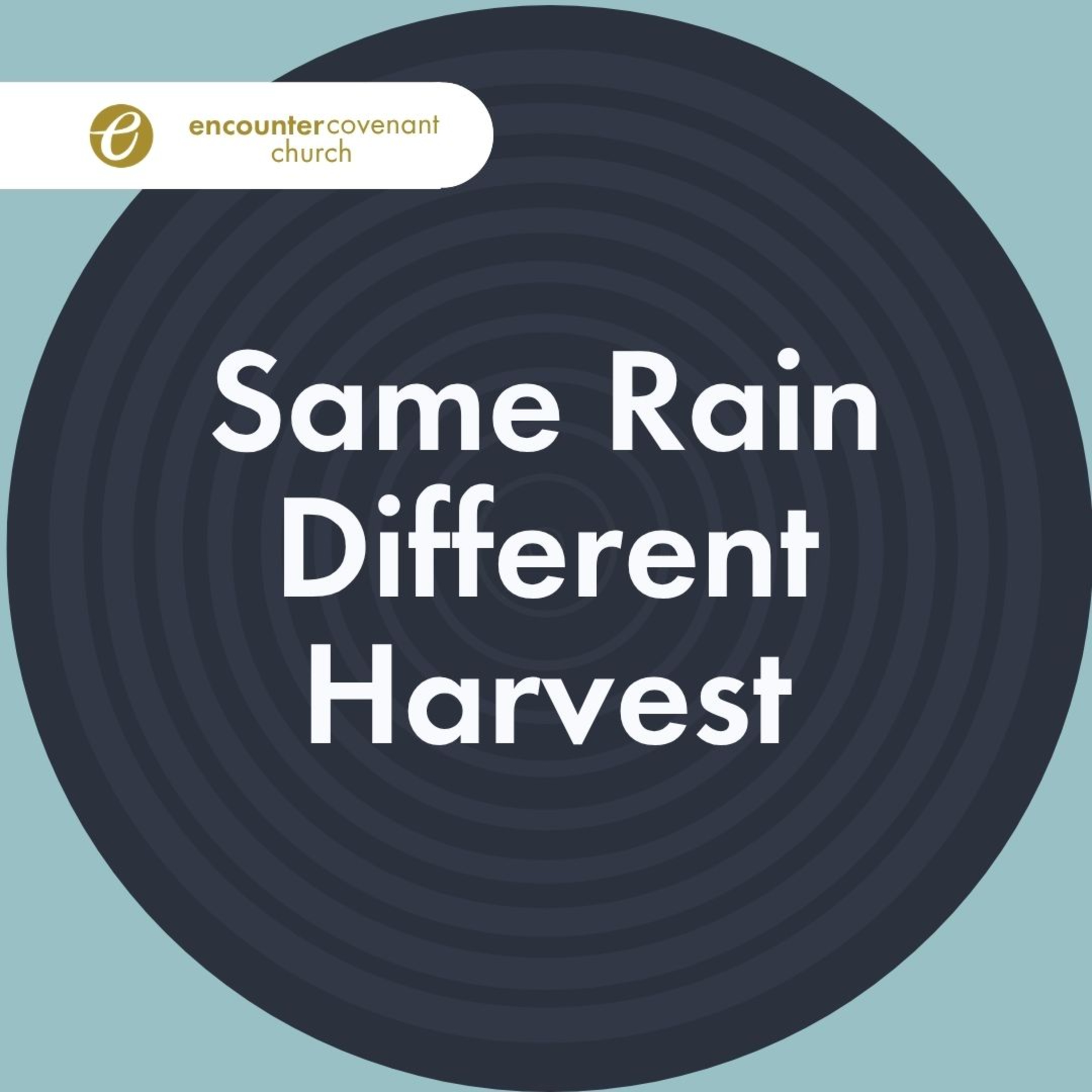 Same Rain Different Harvest by Pastor Edward Lee episode artwork