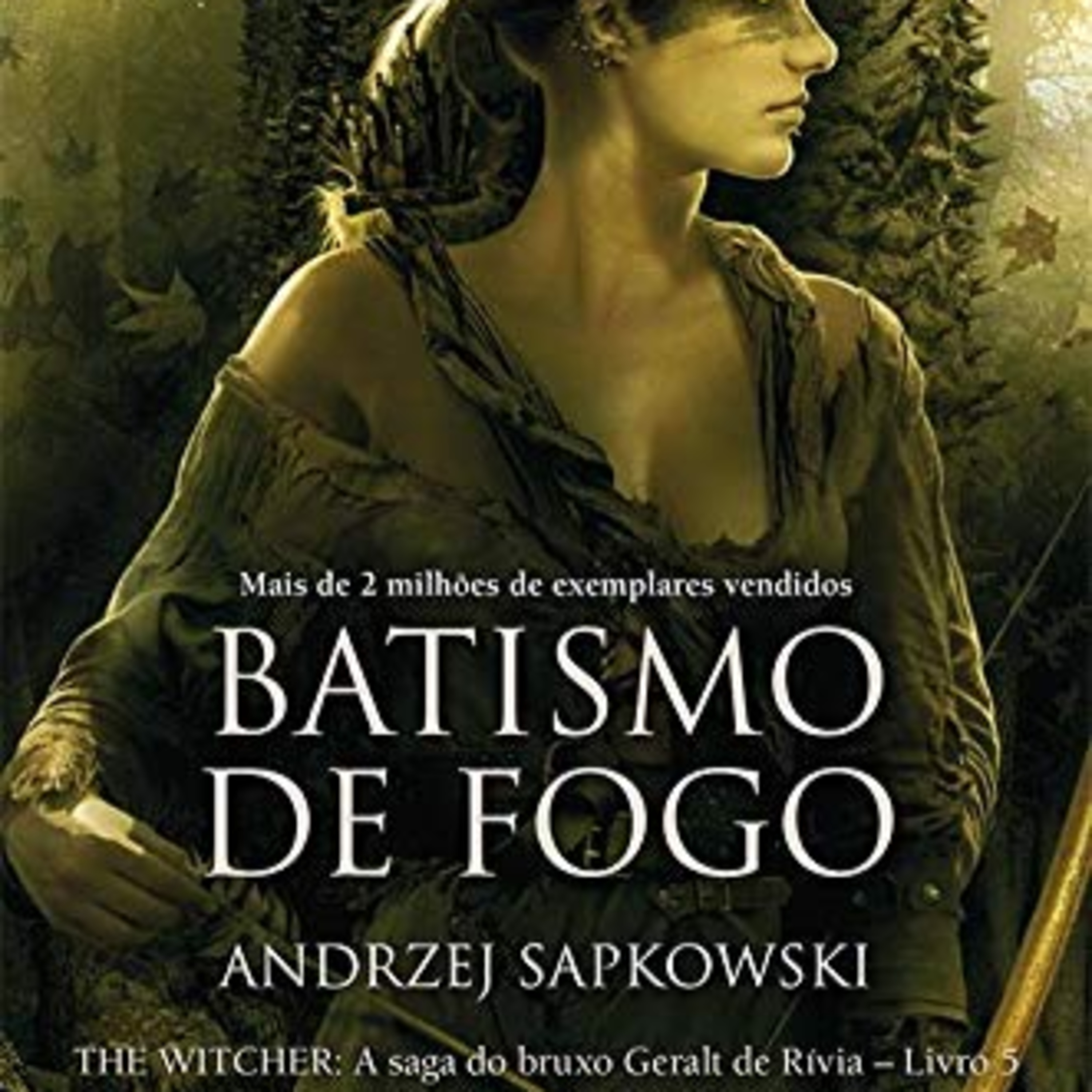 The Witcher Livro 5 O Batismo de Fogo Capitulo 3 episode artwork