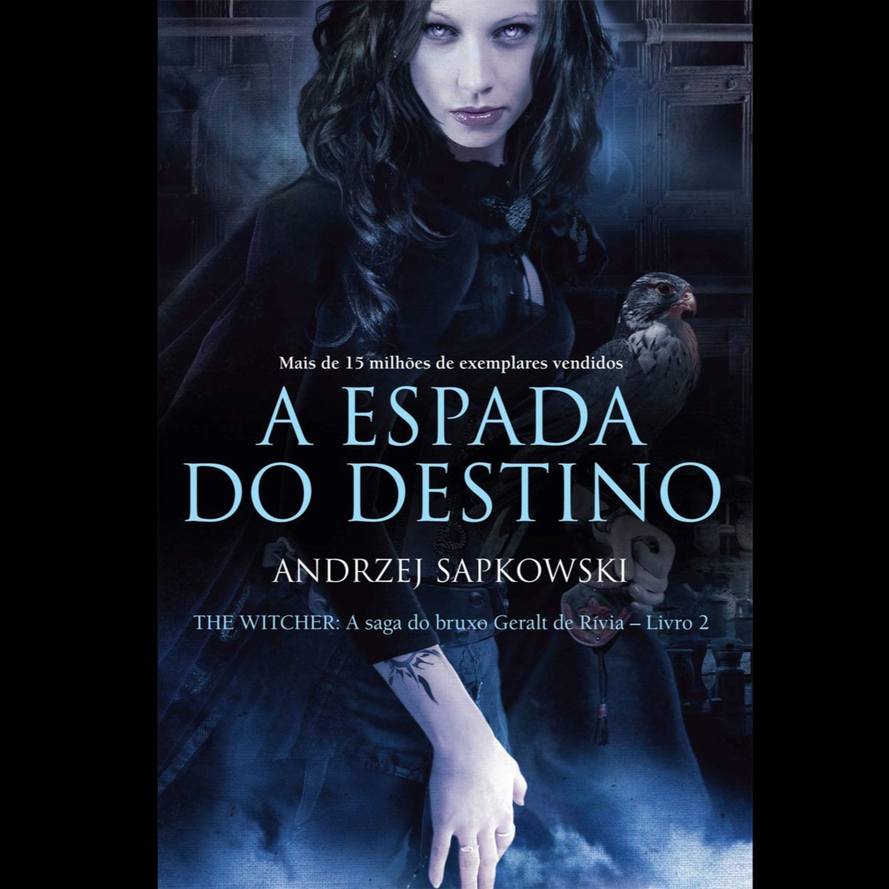 The Witcher Livro 2 A Espada do Destino Parte 2 episode artwork